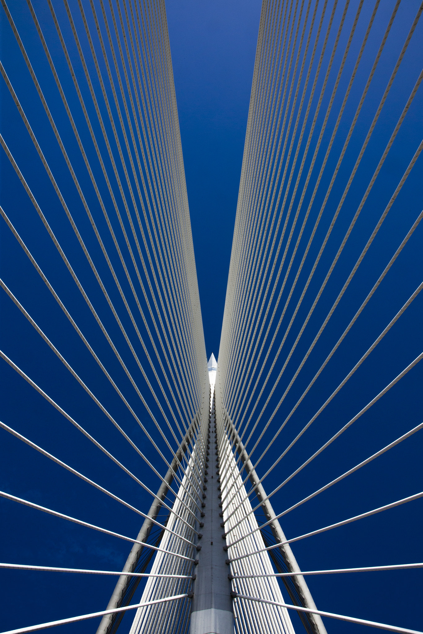 Canon EOS-1D X sample photo. Wawasan bridge in putrajaya photography