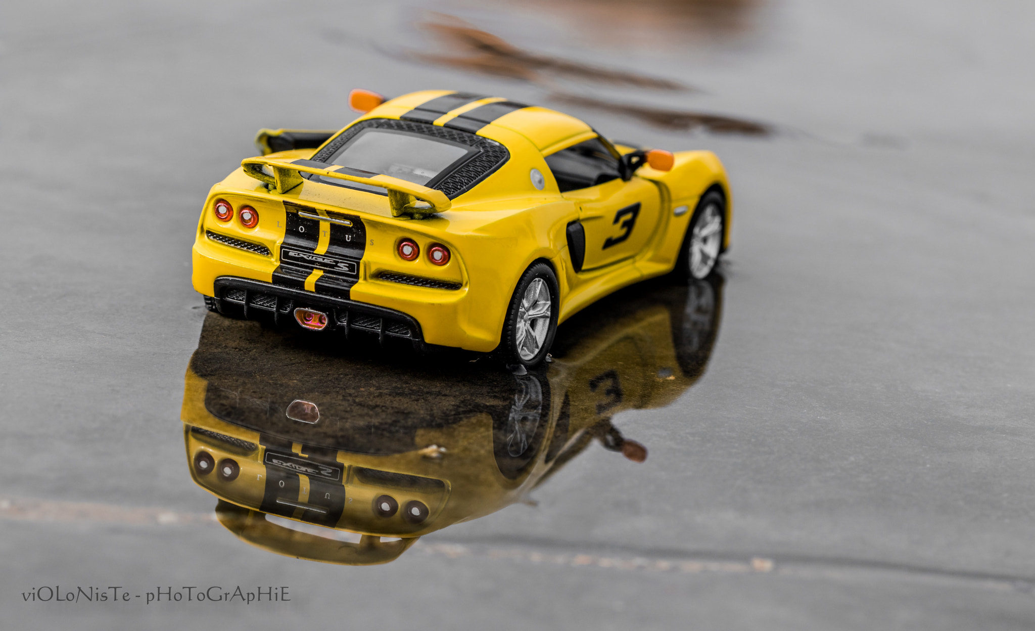 Canon EF 100mm F2.8 Macro USM sample photo. Mg photography