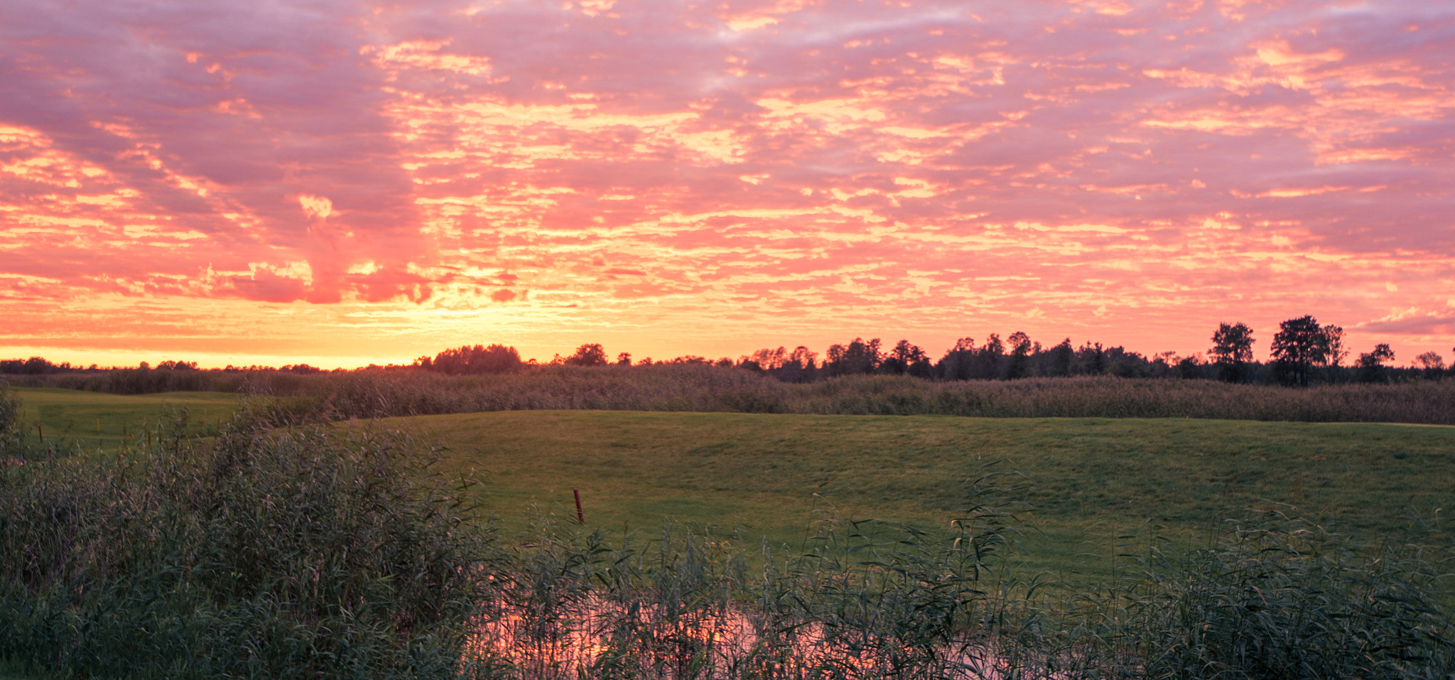 Nikon D7200 sample photo. Summer colors photography