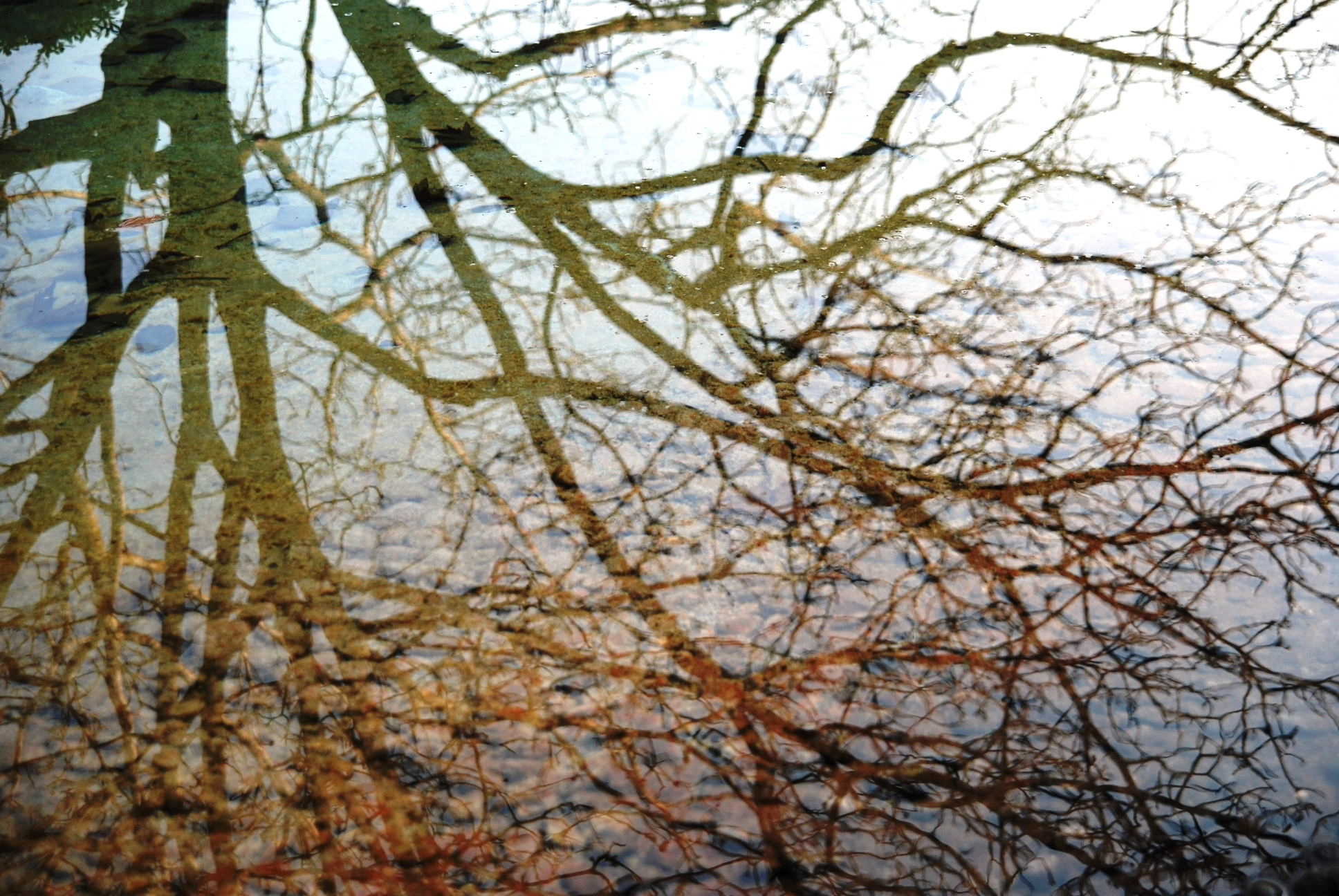 Nikon D80 sample photo. Mirror photography