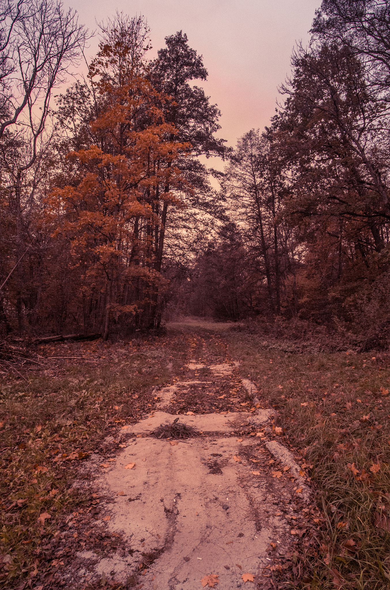 Nikon D7200 sample photo. Pärnu autumn photography