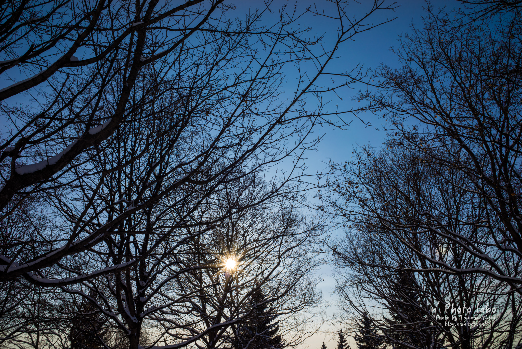 Sony a7R + E 35mm F2 sample photo. Below freezing morning photography