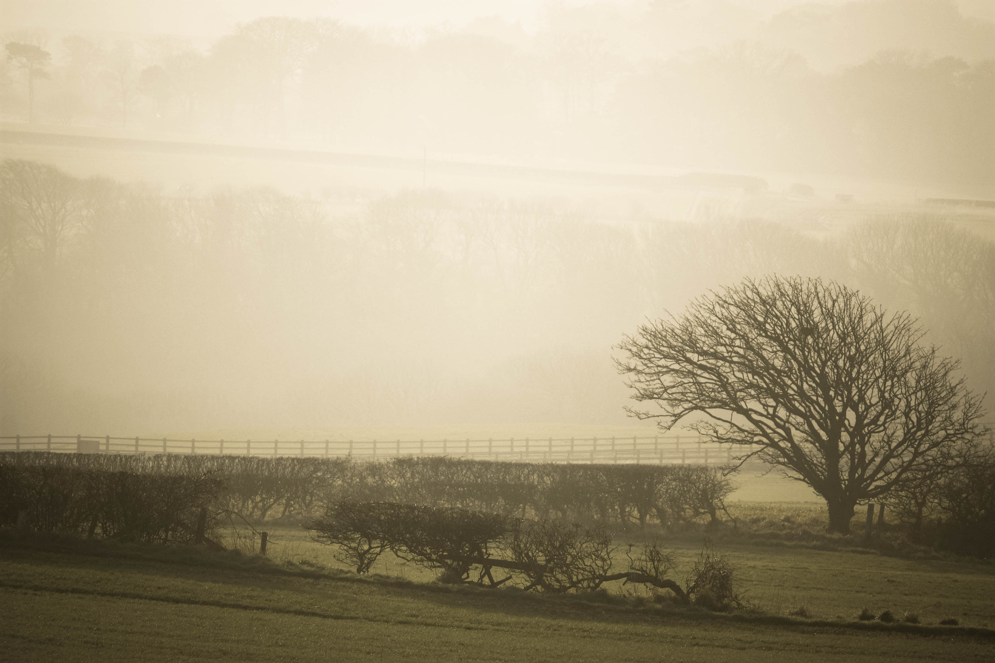 Canon EF-S 55-250mm F4-5.6 IS sample photo. Countryside (of ) photography