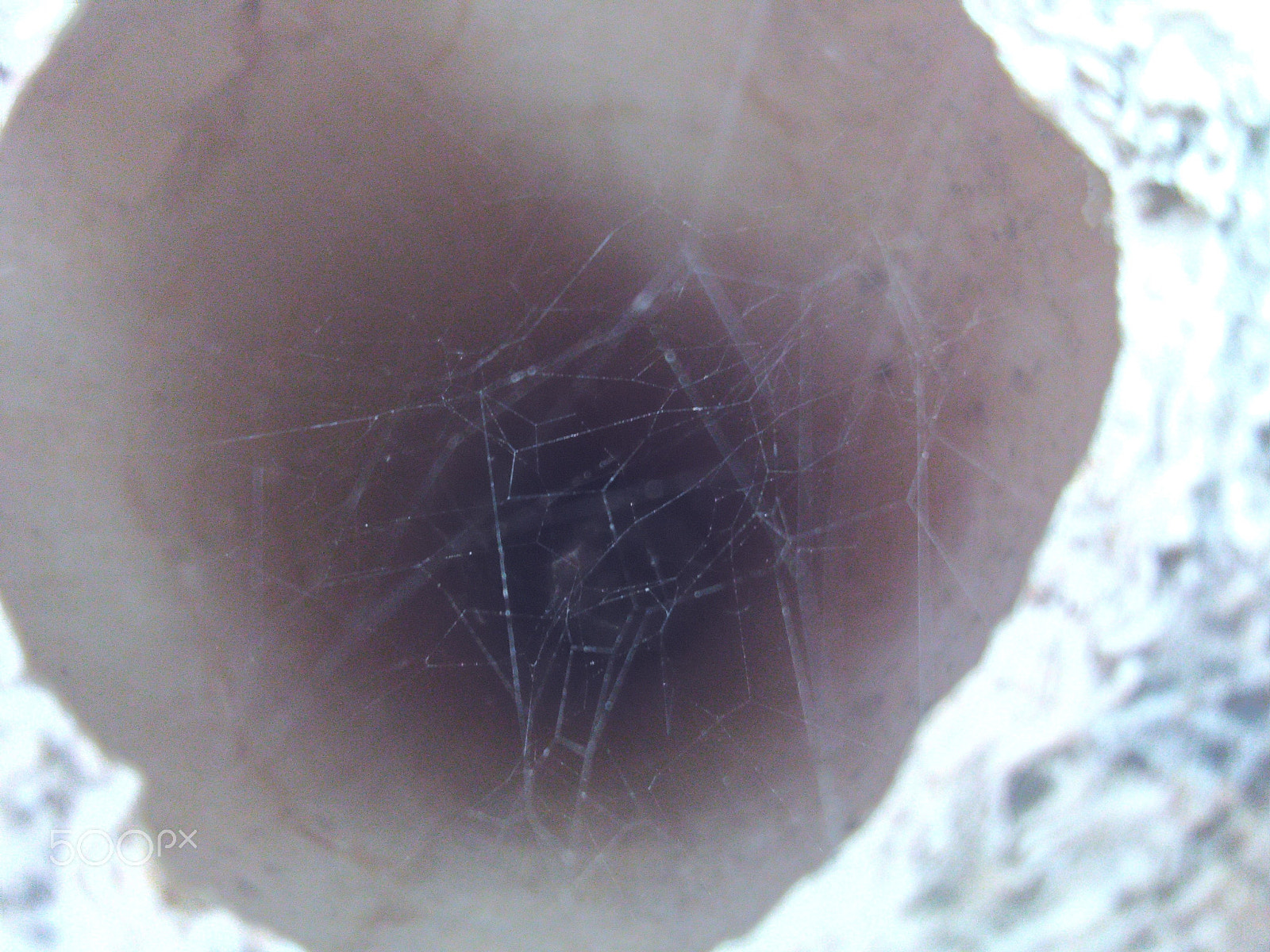 HUAWEI Y6 sample photo. Spider web photography