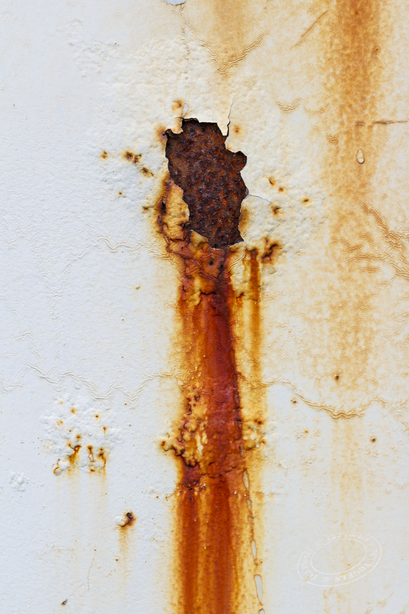 Canon EF 100mm F2.8L Macro IS USM sample photo. Old factory photography