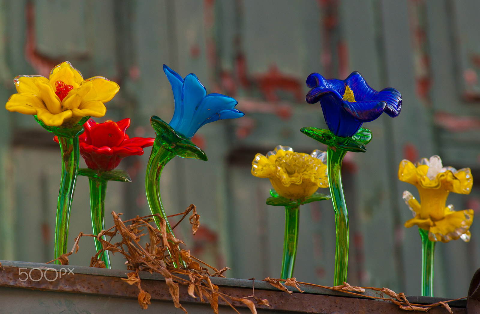 Nikon AF-Nikkor 80-200mm F2.8D ED sample photo. Murano february glass flowers photography