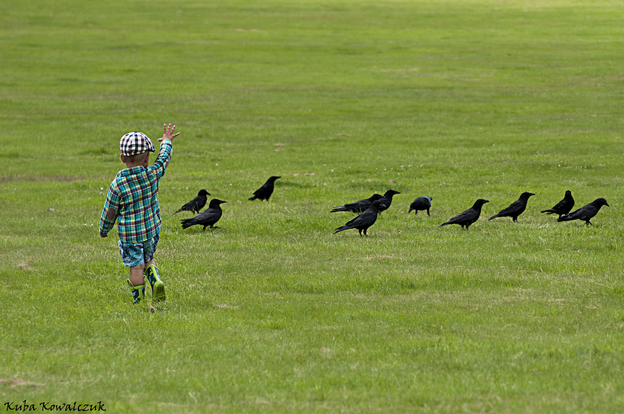 Nikon D90 sample photo. Little boy's catching a birds photography