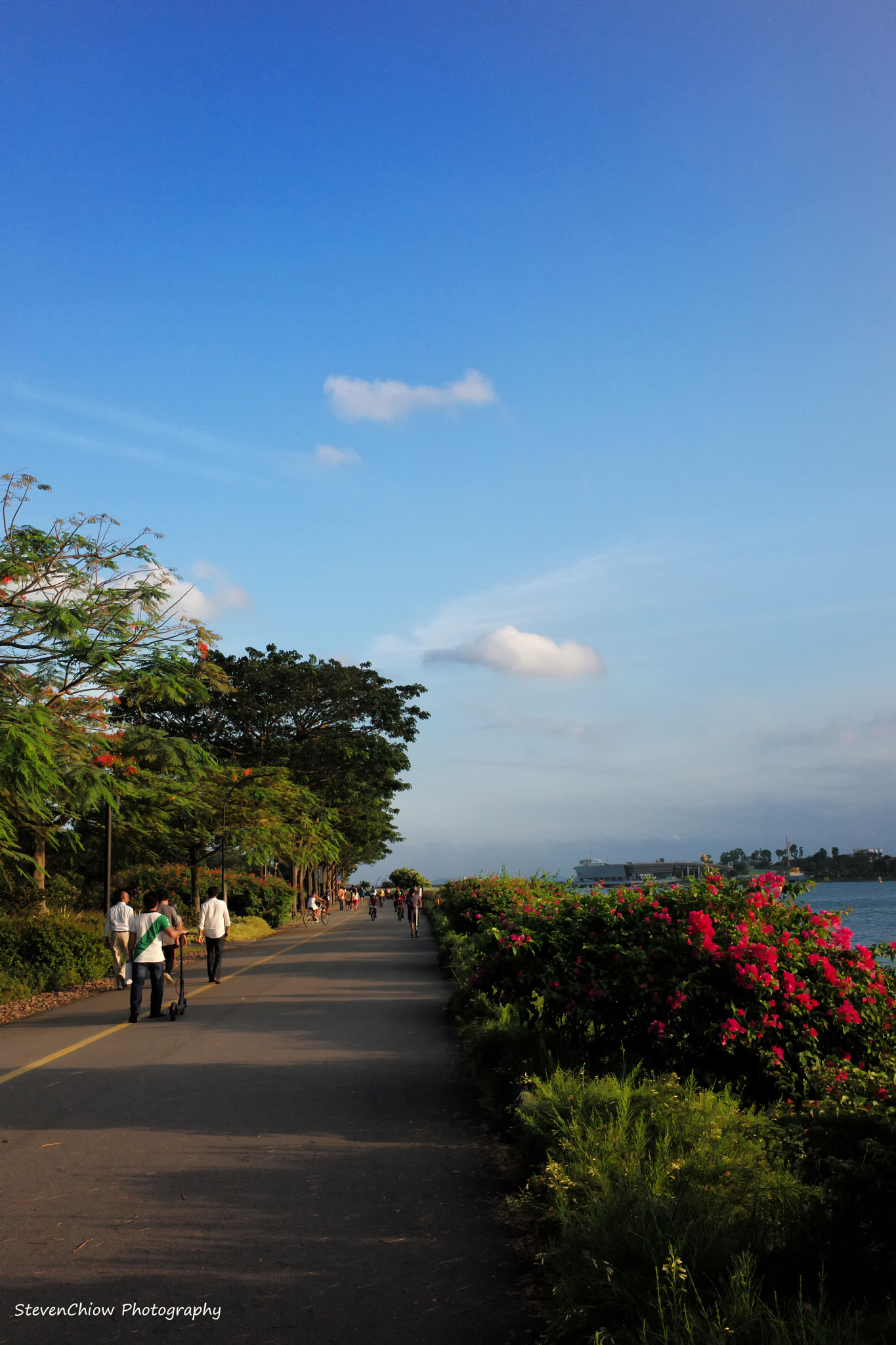 Leica Tri-Elmar-M 16-18-21mm F4 ASPH sample photo. Garden photography