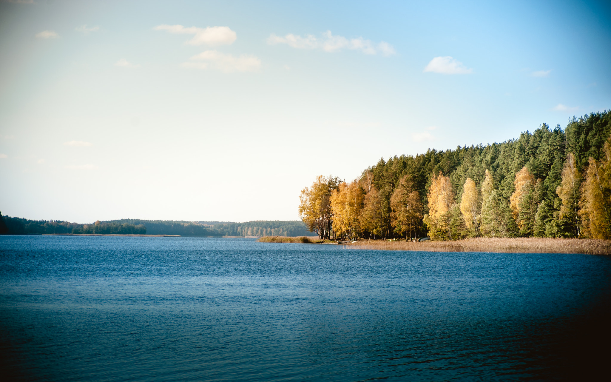 Nikon D700 sample photo. Beautiful lithuania photography