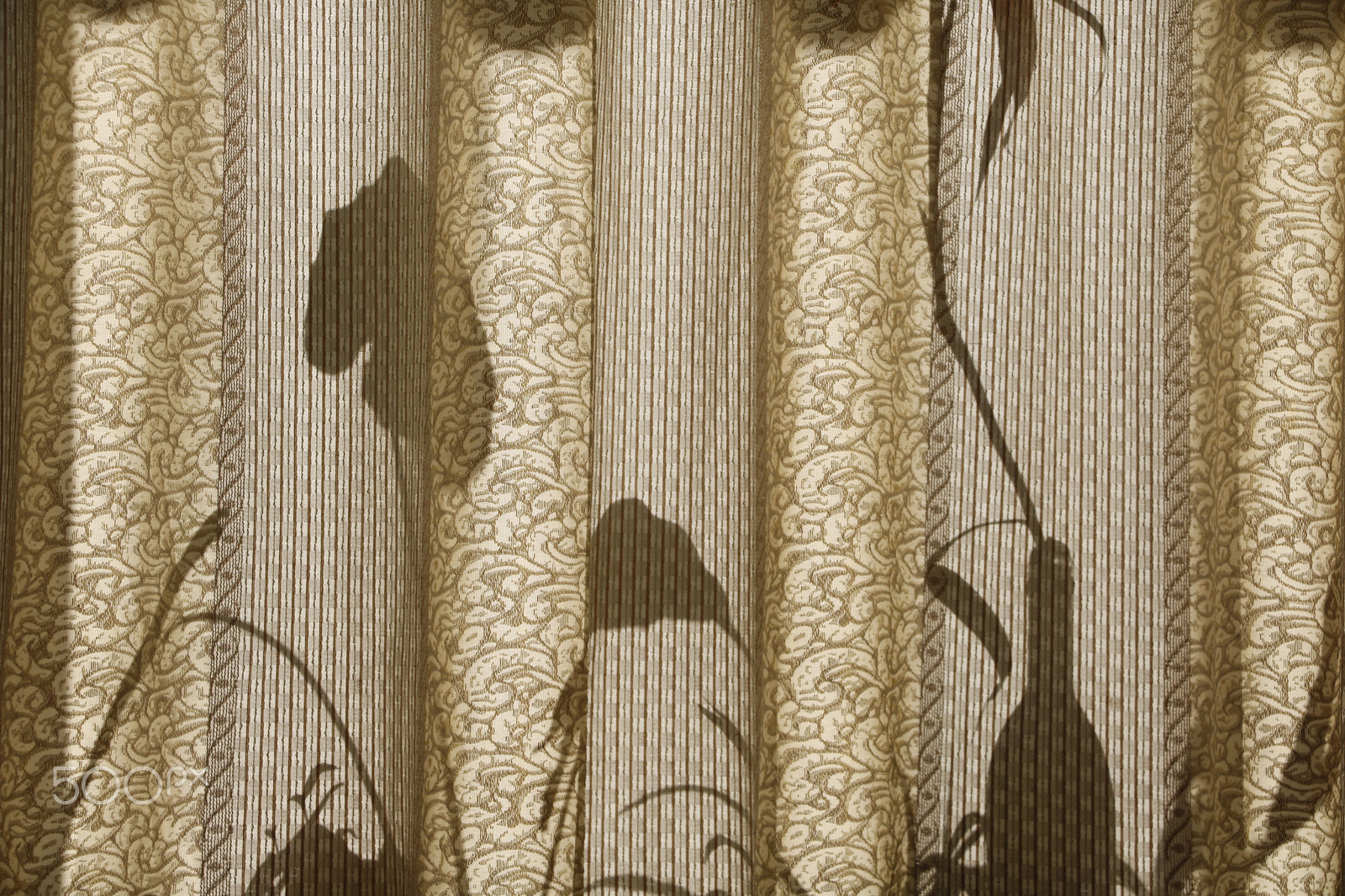 Canon EOS 760D (EOS Rebel T6s / EOS 8000D) sample photo. Shadow on the curtain photography
