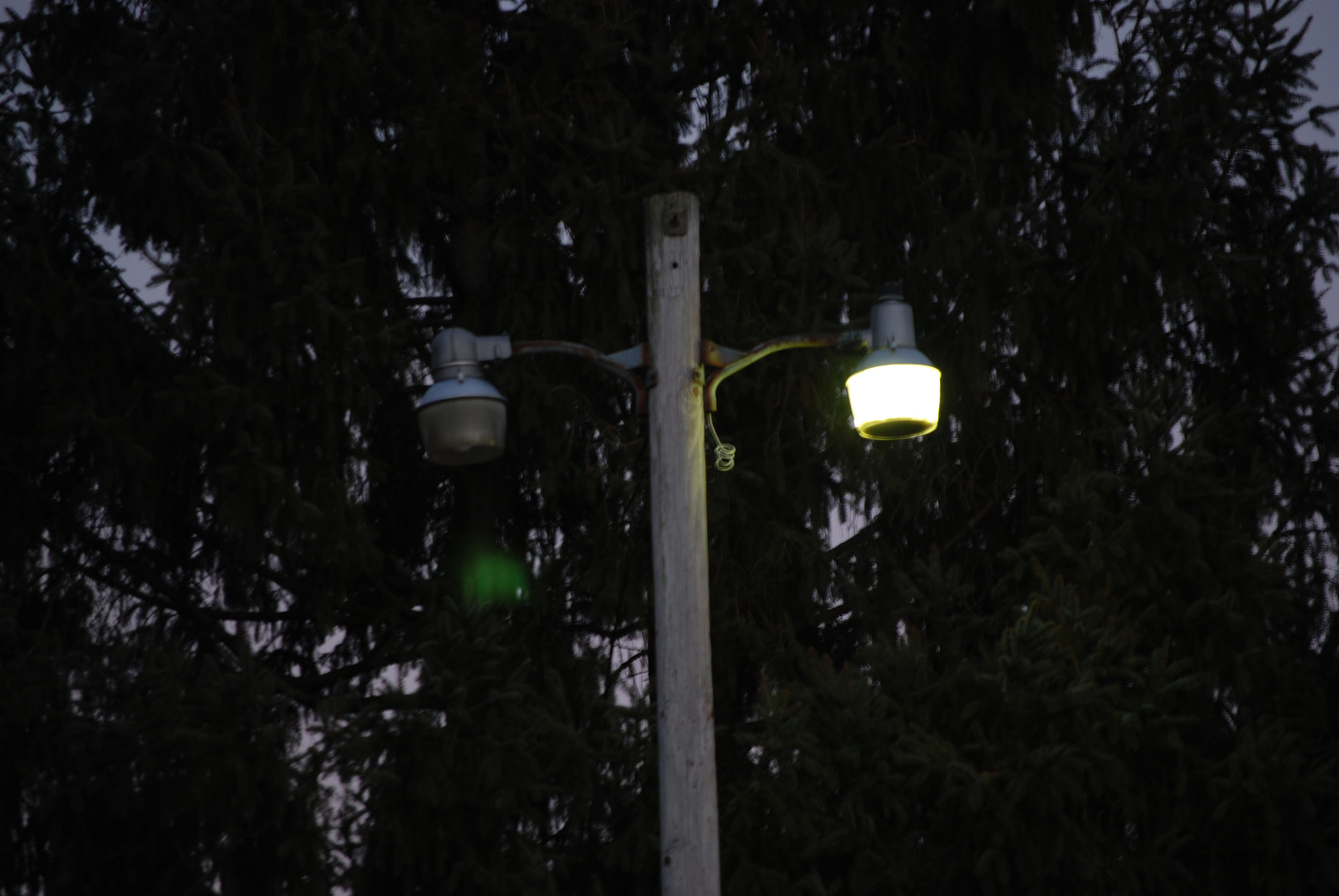 Nikon D80 sample photo. Light on, light off. photography