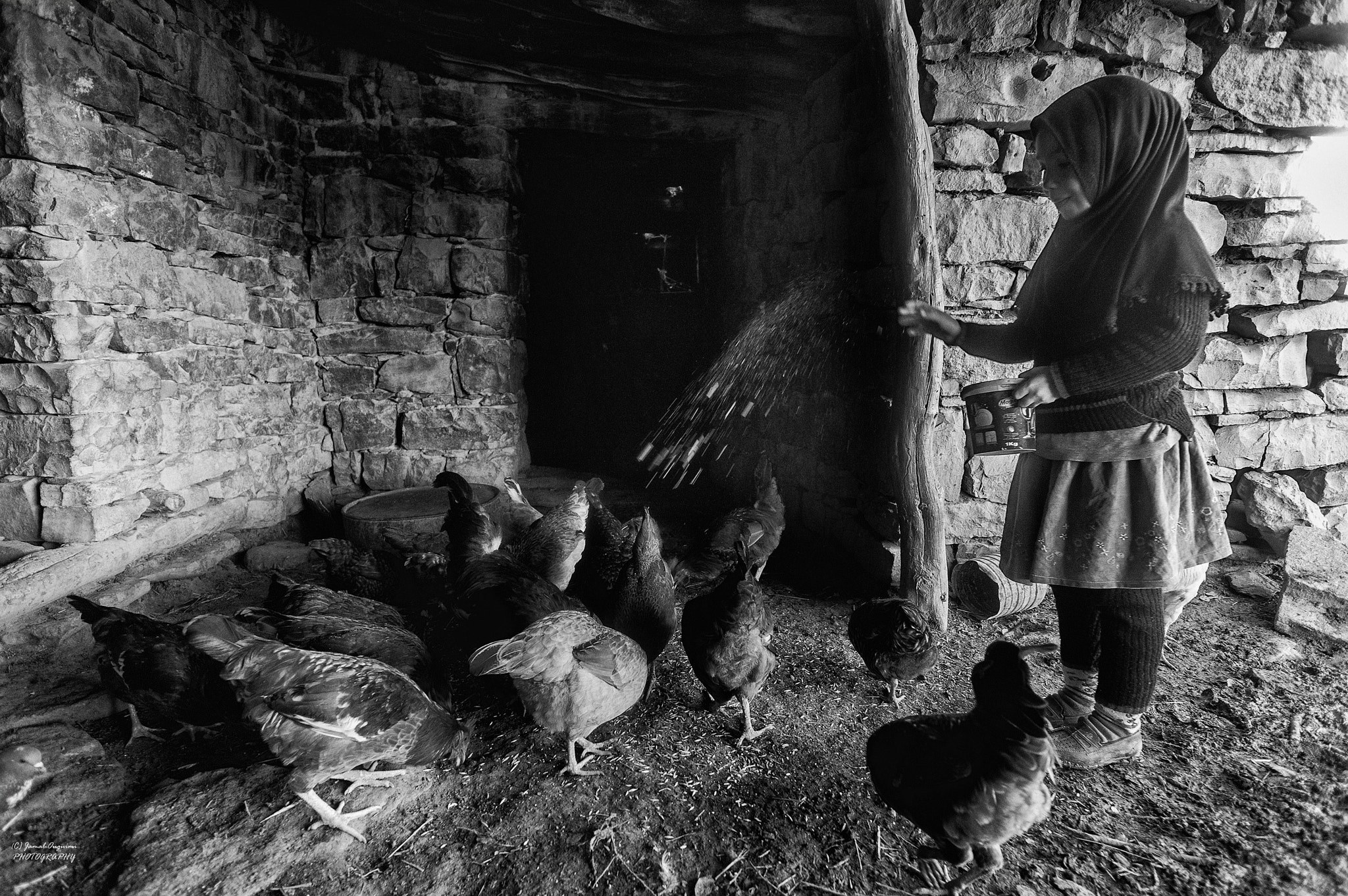 Nikon AF Nikkor 20mm F2.8D sample photo. Poultry feed photography
