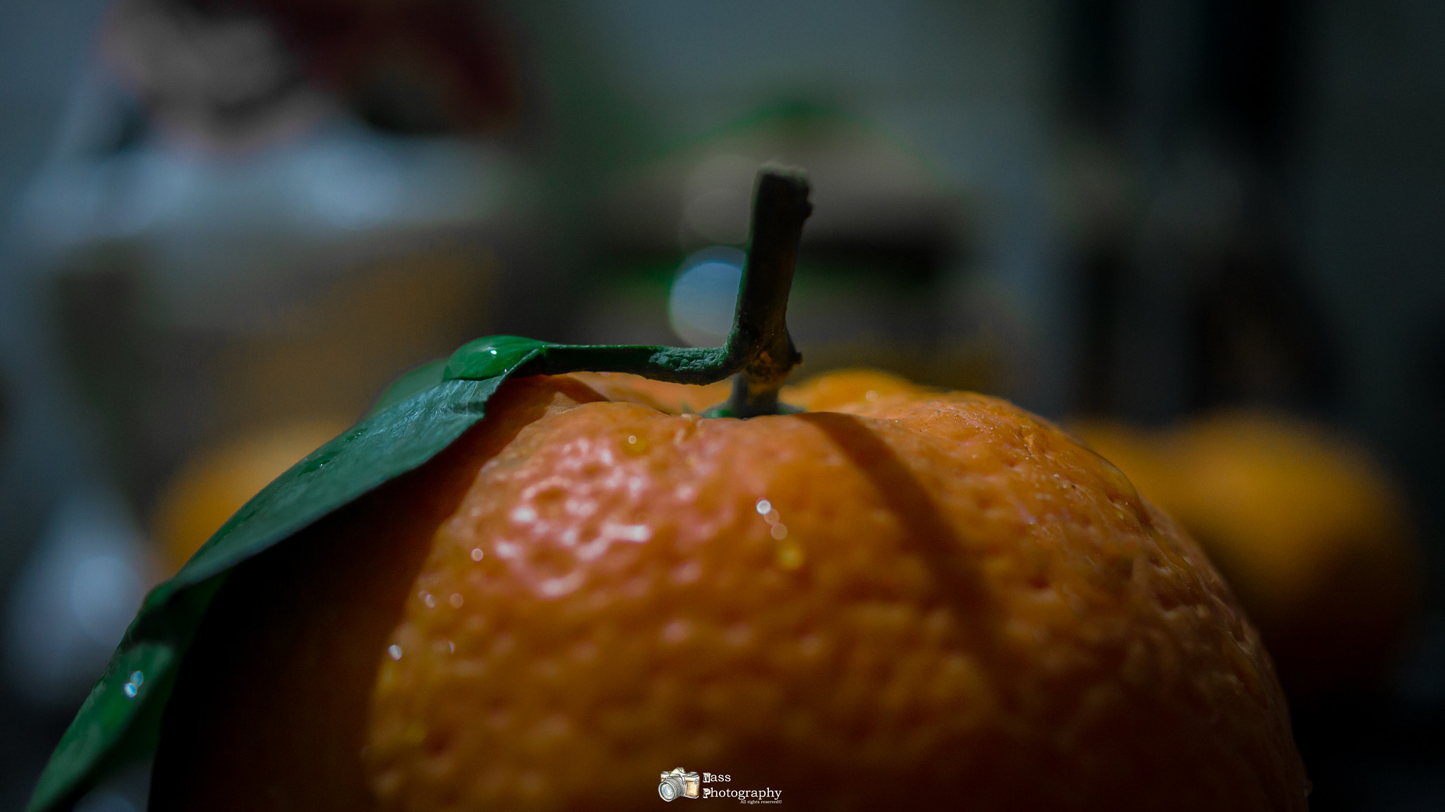 Sony SLT-A55 (SLT-A55V) + Sony DT 30mm F2.8 Macro SAM sample photo. Orange ! photography