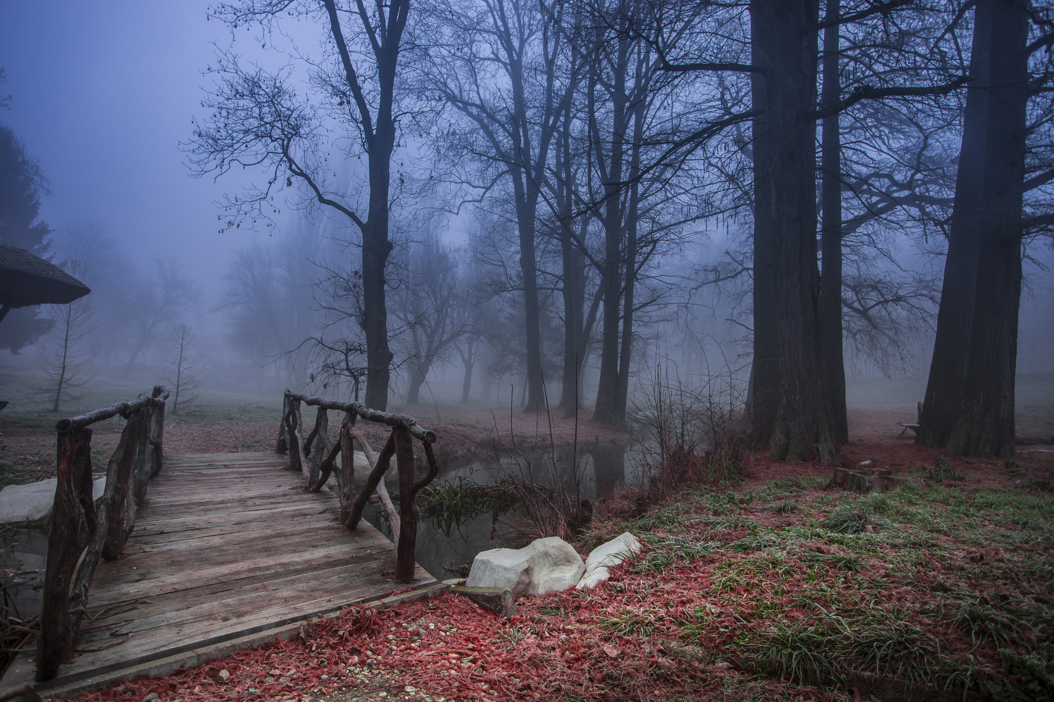 Sony a7 + Canon EF 17-40mm F4L USM sample photo. Bridge to mist photography