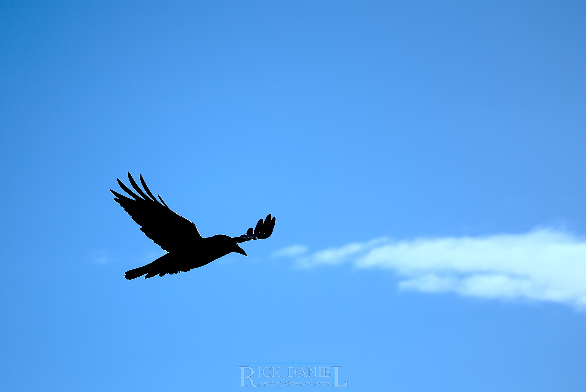 Canon EOS 7D Mark II + Canon EF-S 55-250mm F4-5.6 IS STM sample photo. Silhouette photography