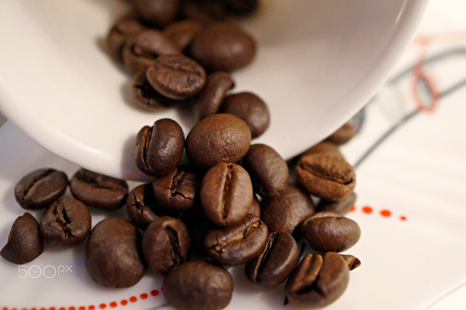 Sony SLT-A58 + Sony DT 30mm F2.8 Macro SAM sample photo. *** coffee time * photography