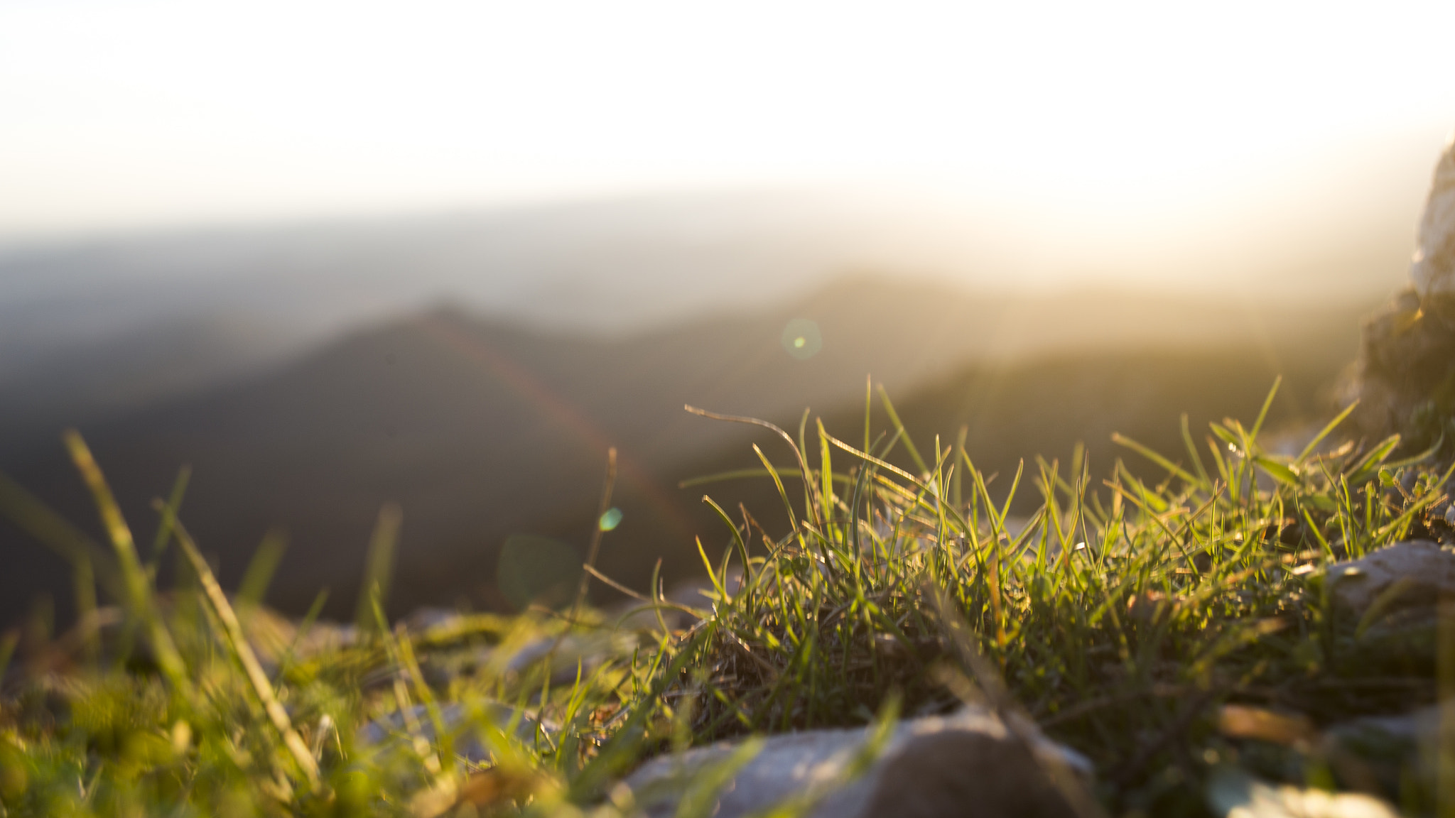 Canon EOS 6D + Canon EF 22-55mm f/4-5.6 USM sample photo. Bright grass photography