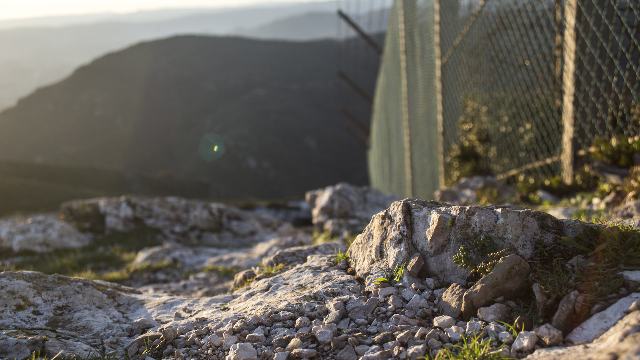 Canon EF 22-55mm f/4-5.6 USM sample photo. Along the fence photography