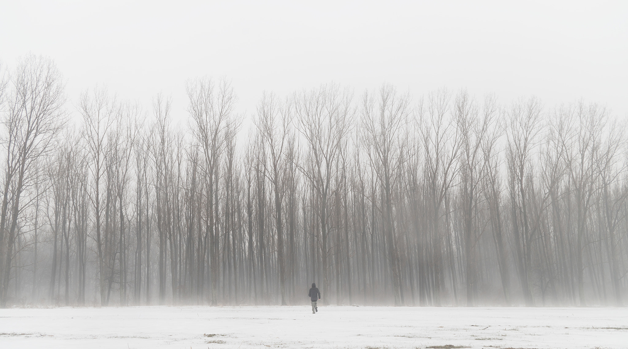 Pentax K-30 + Pentax smc DA 18-55mm F3.5-5.6 AL WR sample photo. Foggy dream photography