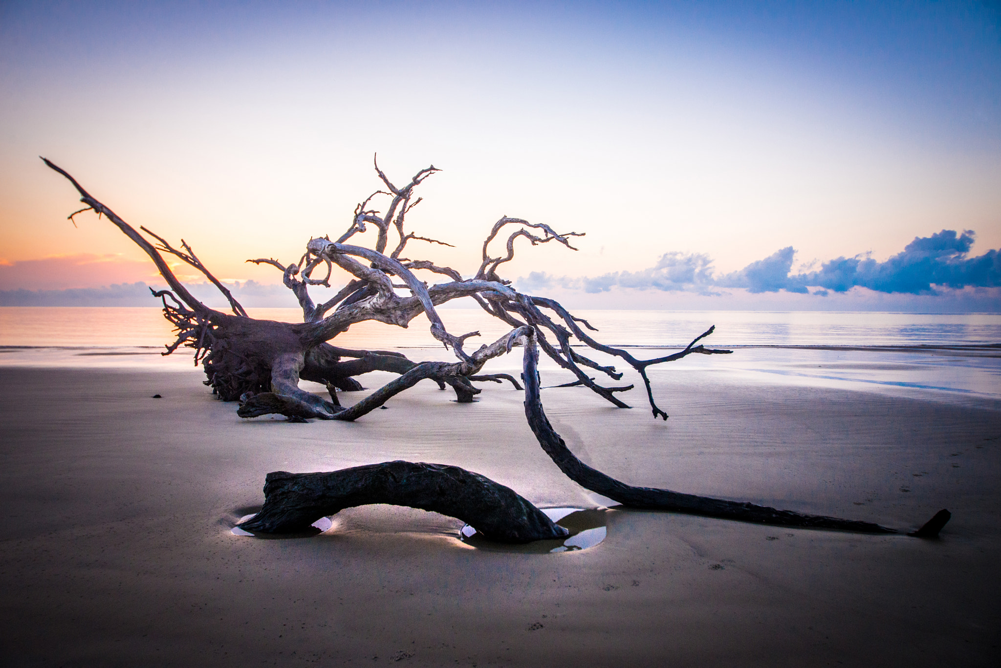 Nikon D600 sample photo. Morning driftwood at jekyll island, georgia, usa photography