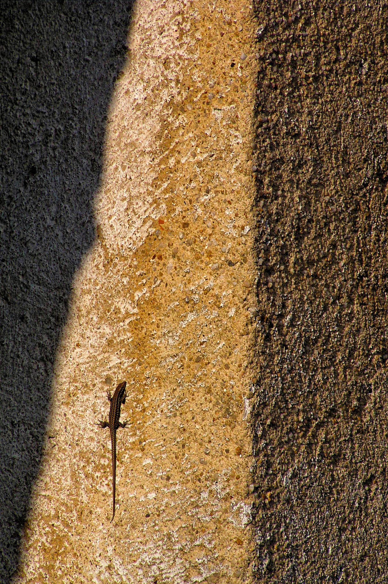 Olympus C730UZ sample photo. 'three roads' photography