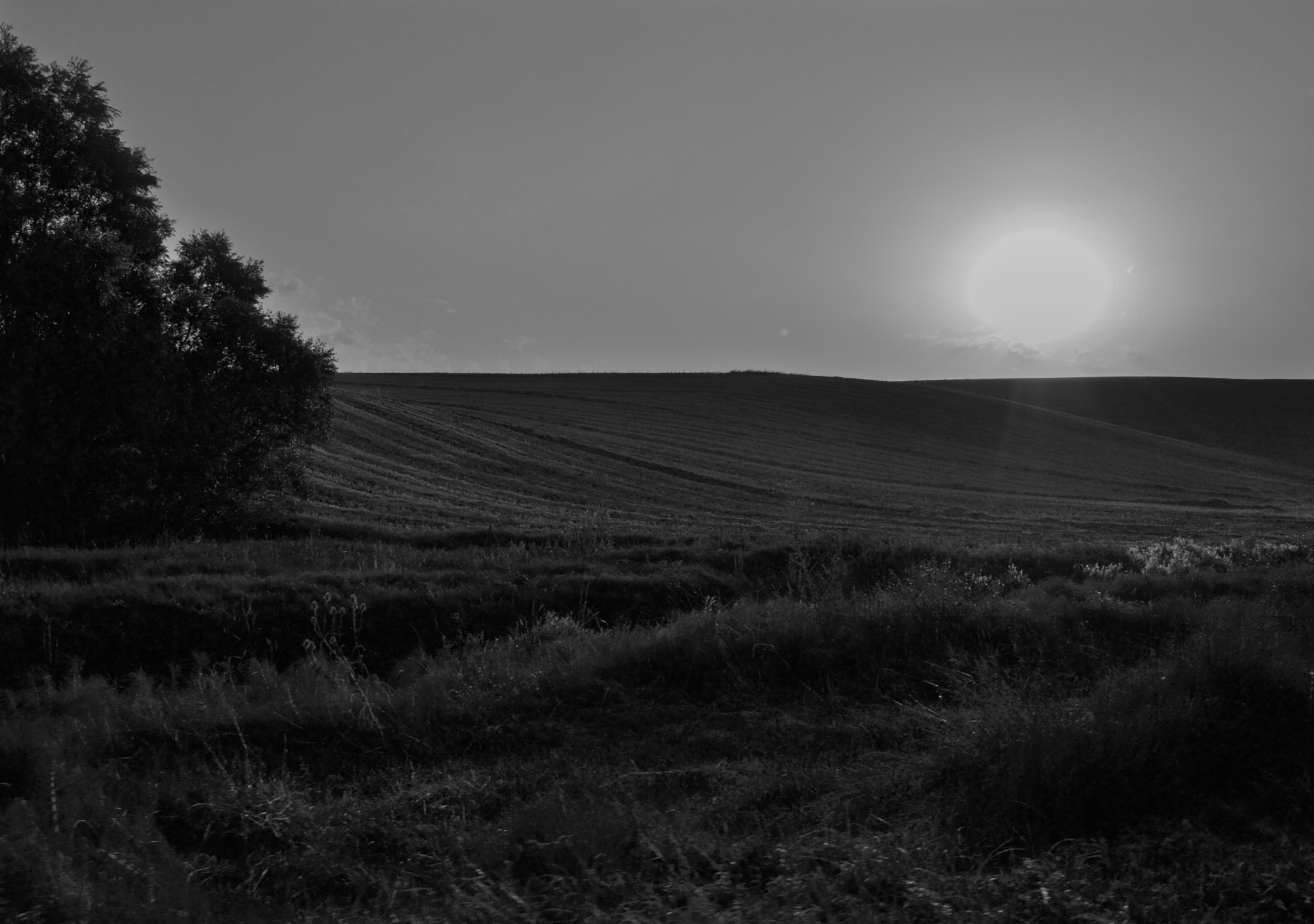 Nikon D3100 + Sigma 12-24mm F4.5-5.6 EX DG Aspherical HSM sample photo. Sicilia photography