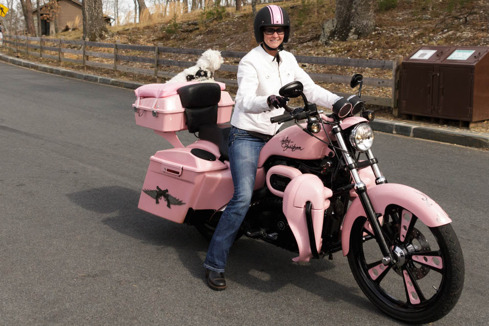 Canon EOS 700D (EOS Rebel T5i / EOS Kiss X7i) sample photo. Pink motorcycle photography