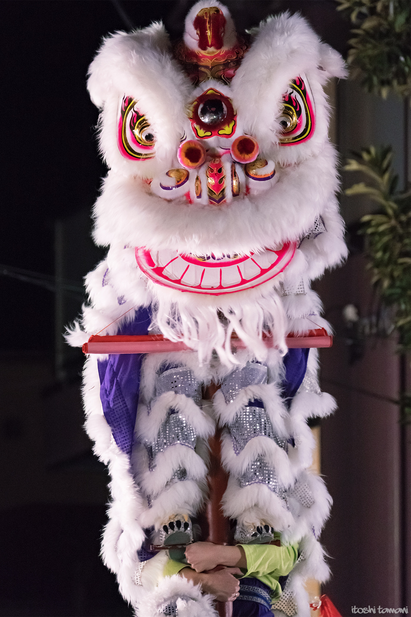 Sony a7R II + Sony FE 70-300mm F4.5-5.6 G OSS sample photo. Chinese lion dance photography