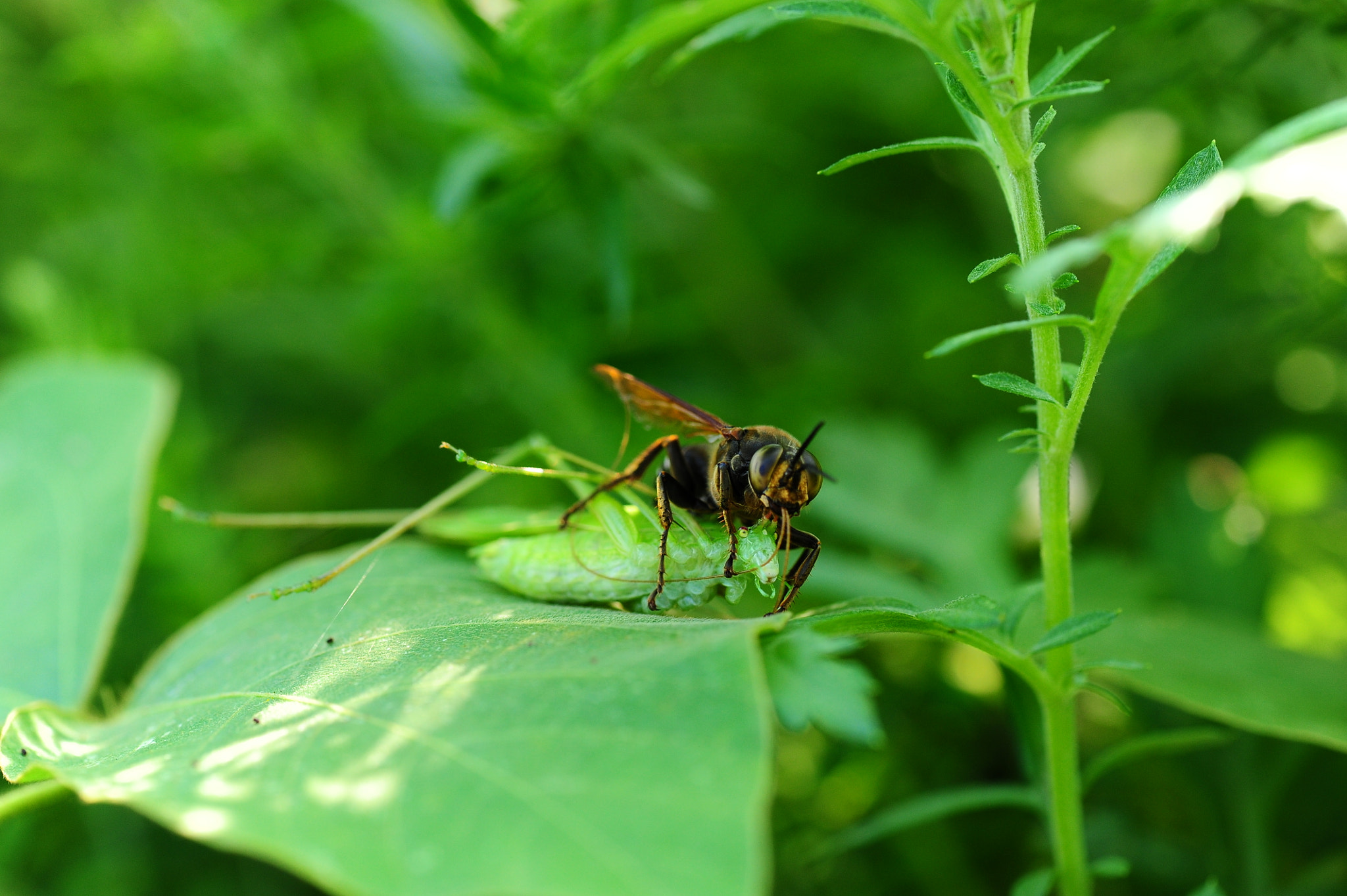 Nikon D3S sample photo. Capture photography