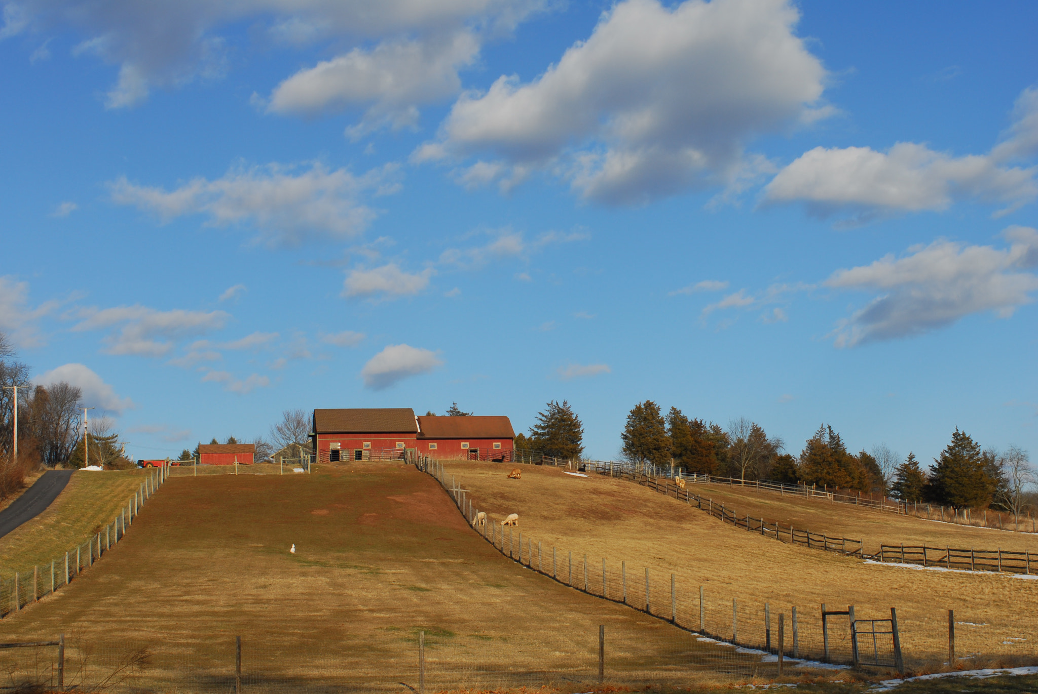 Nikon D200 sample photo. Pastoral landscape photography