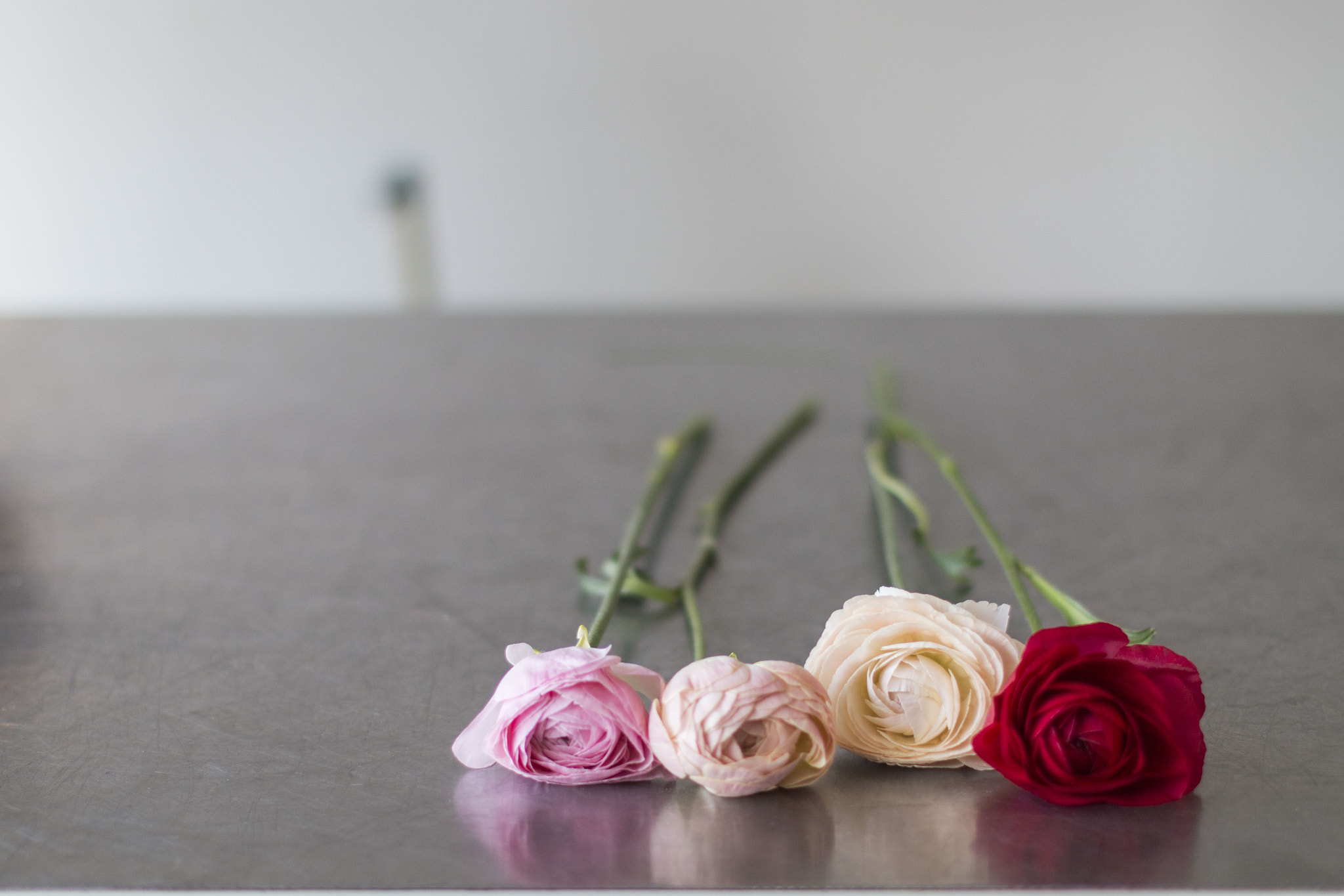Canon EOS 70D + Canon EF 50mm F1.2L USM sample photo. Small flower shop photography