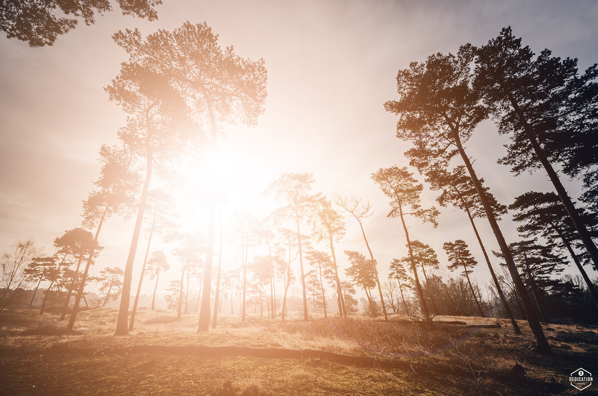 Nikon D7000 + Sigma 10-20mm F3.5 EX DC HSM sample photo. Epic sunrise photography