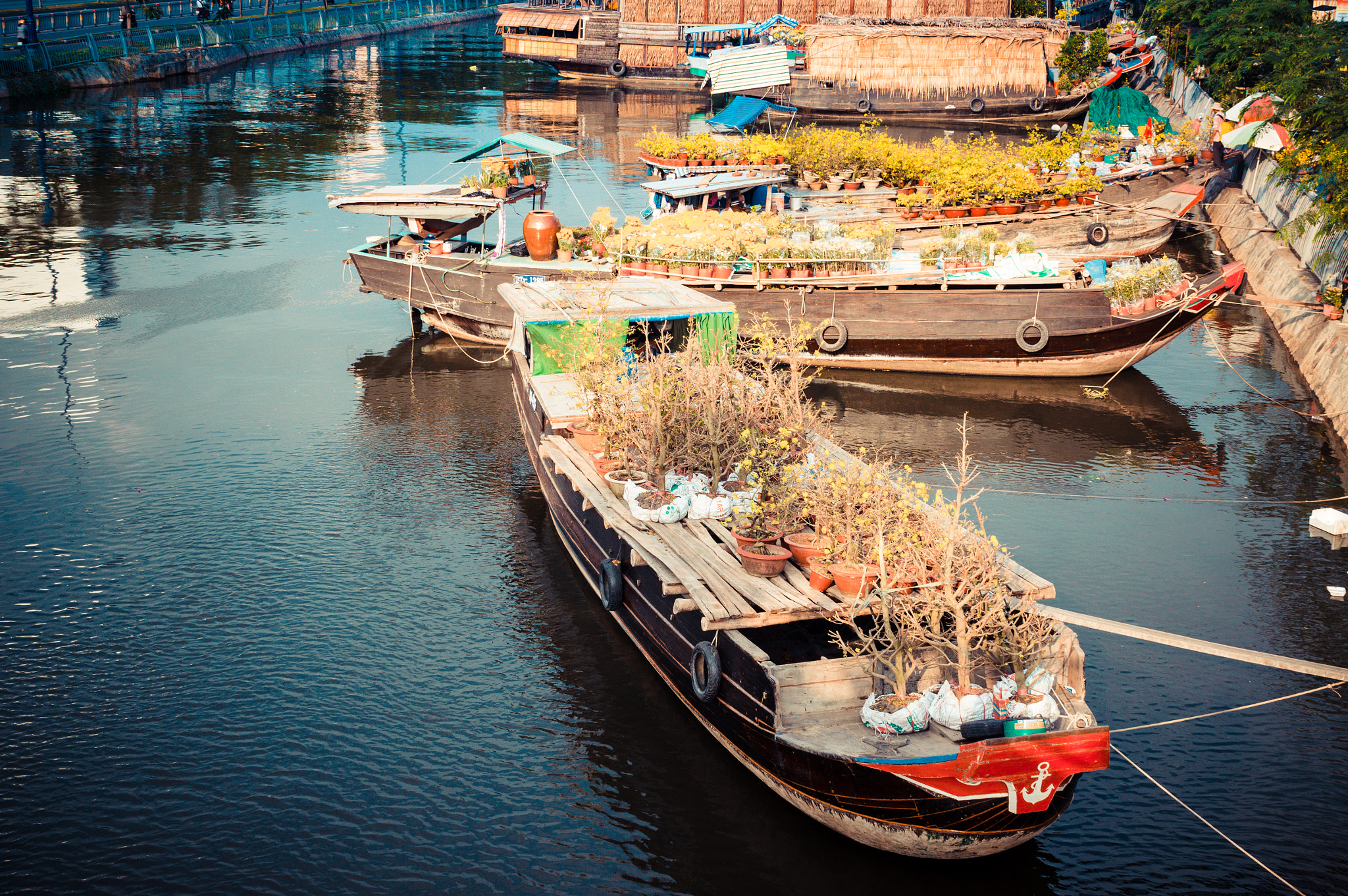 Sony Alpha DSLR-A580 sample photo. Flower boating photography