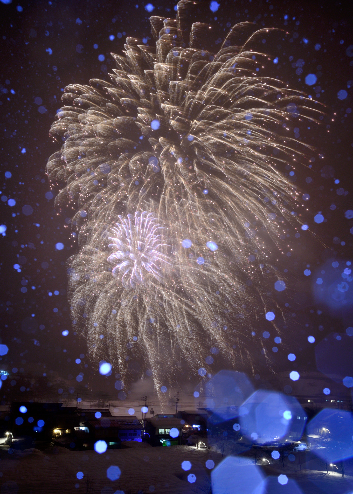 Nikon D800E + Nikon AF-S Nikkor 28mm F1.8G sample photo. 雪月花 photography