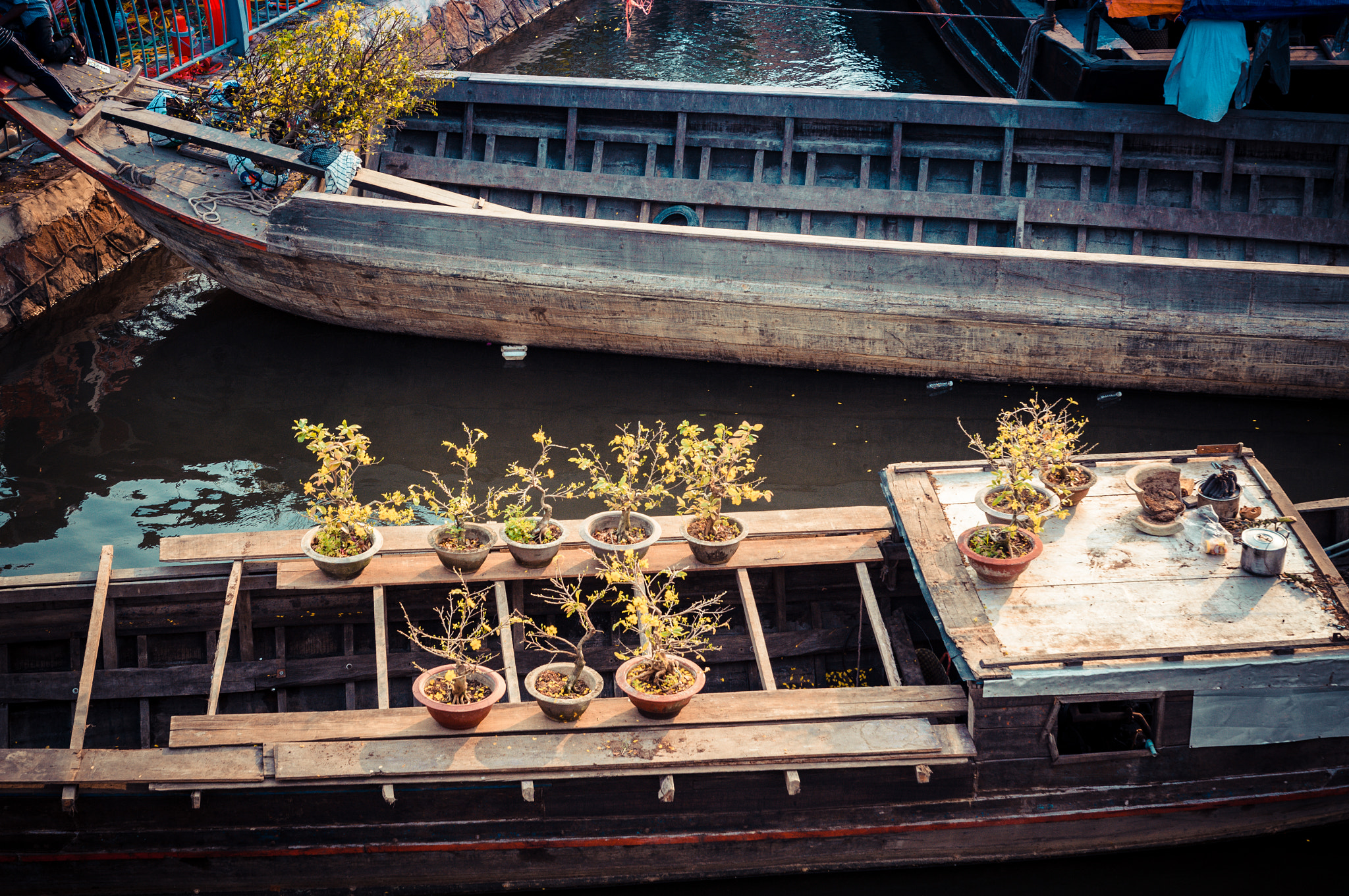 Sony Alpha DSLR-A580 + Sony DT 16-50mm F2.8 SSM sample photo. Flower boating photography