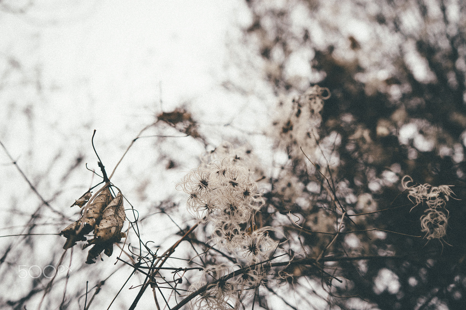 Nikon D5300 + Sigma 18-35mm F1.8 DC HSM Art sample photo. Waiting for the wind photography