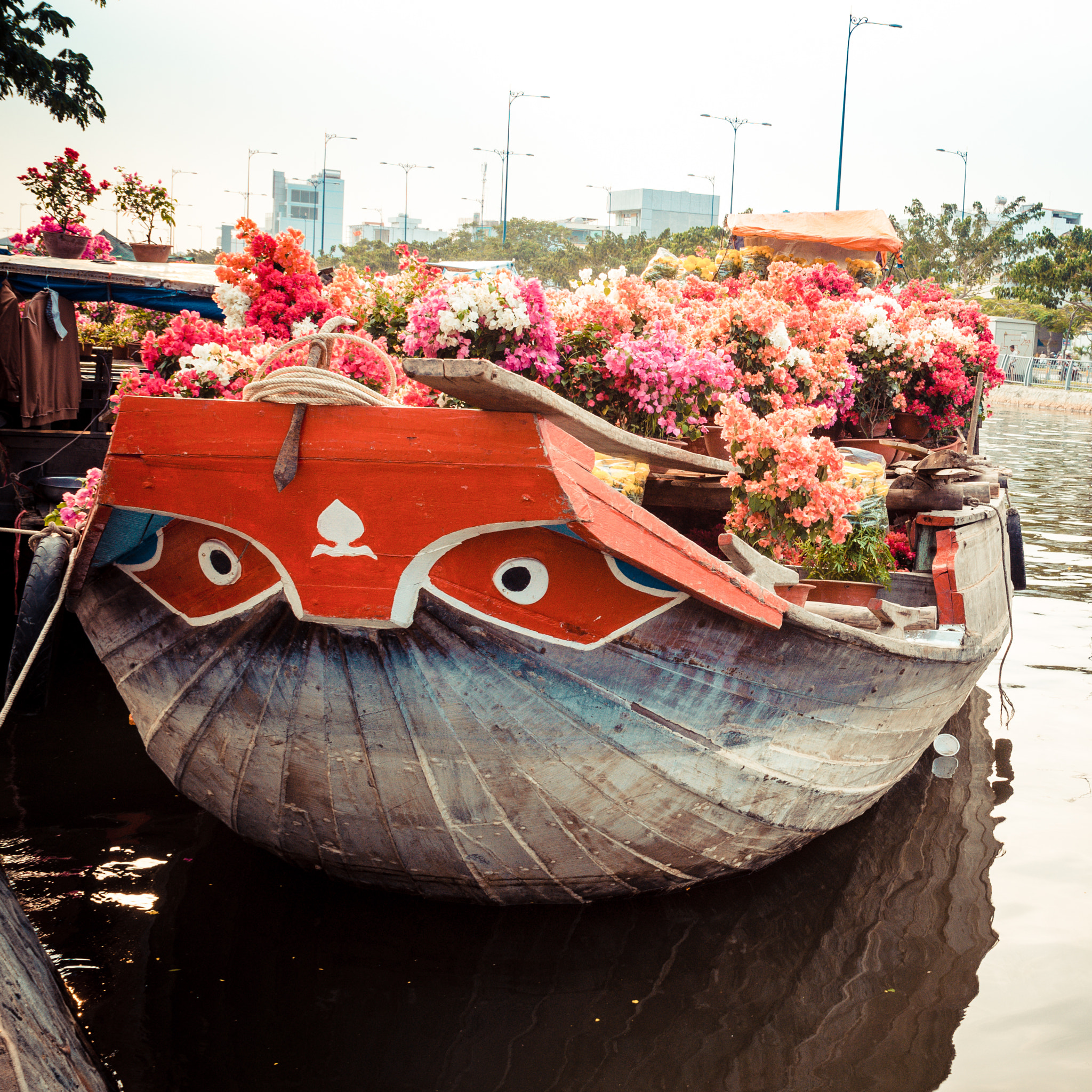 Sony Alpha DSLR-A580 + Sony DT 16-50mm F2.8 SSM sample photo. Flower boating photography