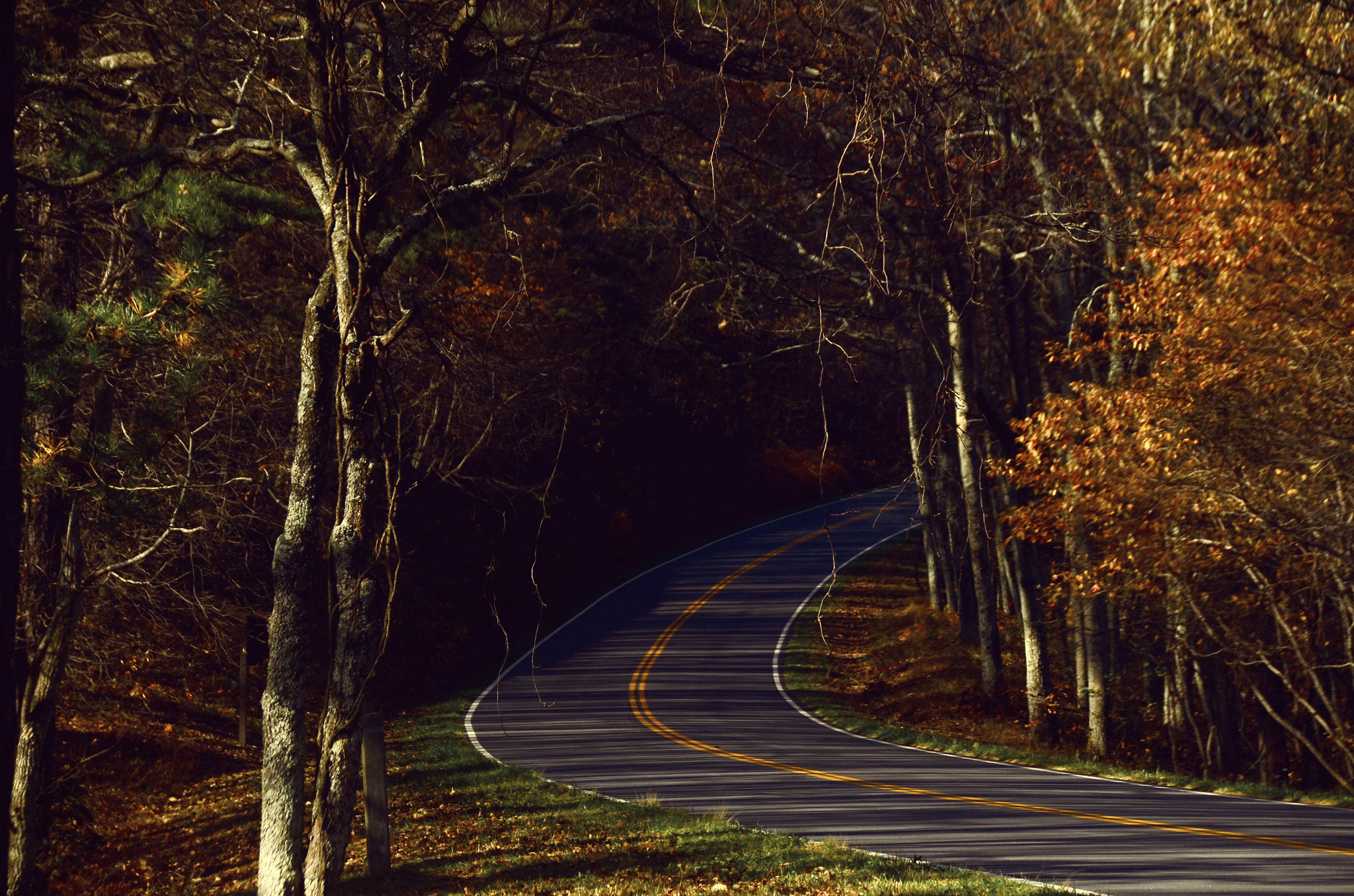 Sigma 18-250mm F3.5-6.3 DC Macro OS HSM sample photo. Mountain road photography