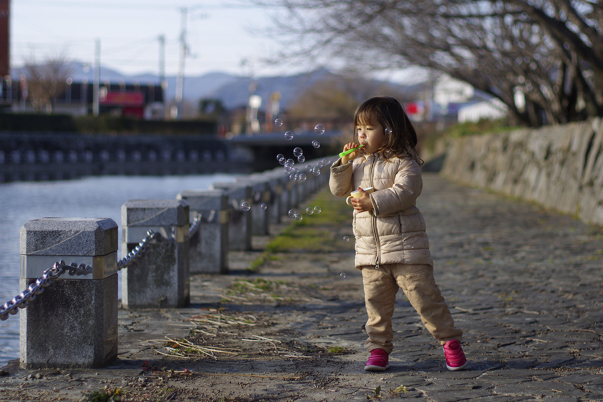 Pentax smc FA 50mm F1.4 sample photo. Igp photography