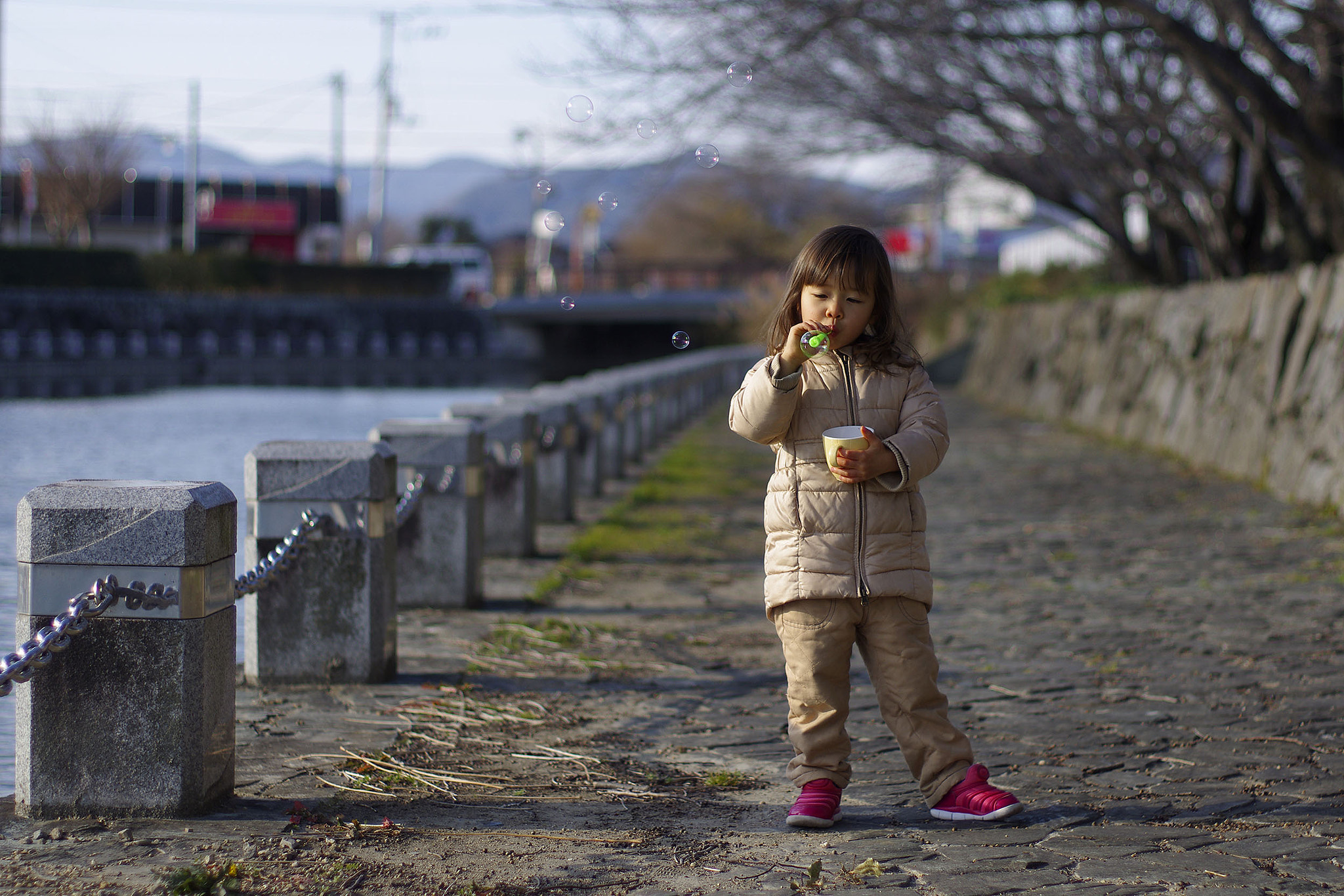 Pentax smc FA 50mm F1.4 sample photo. Igp photography