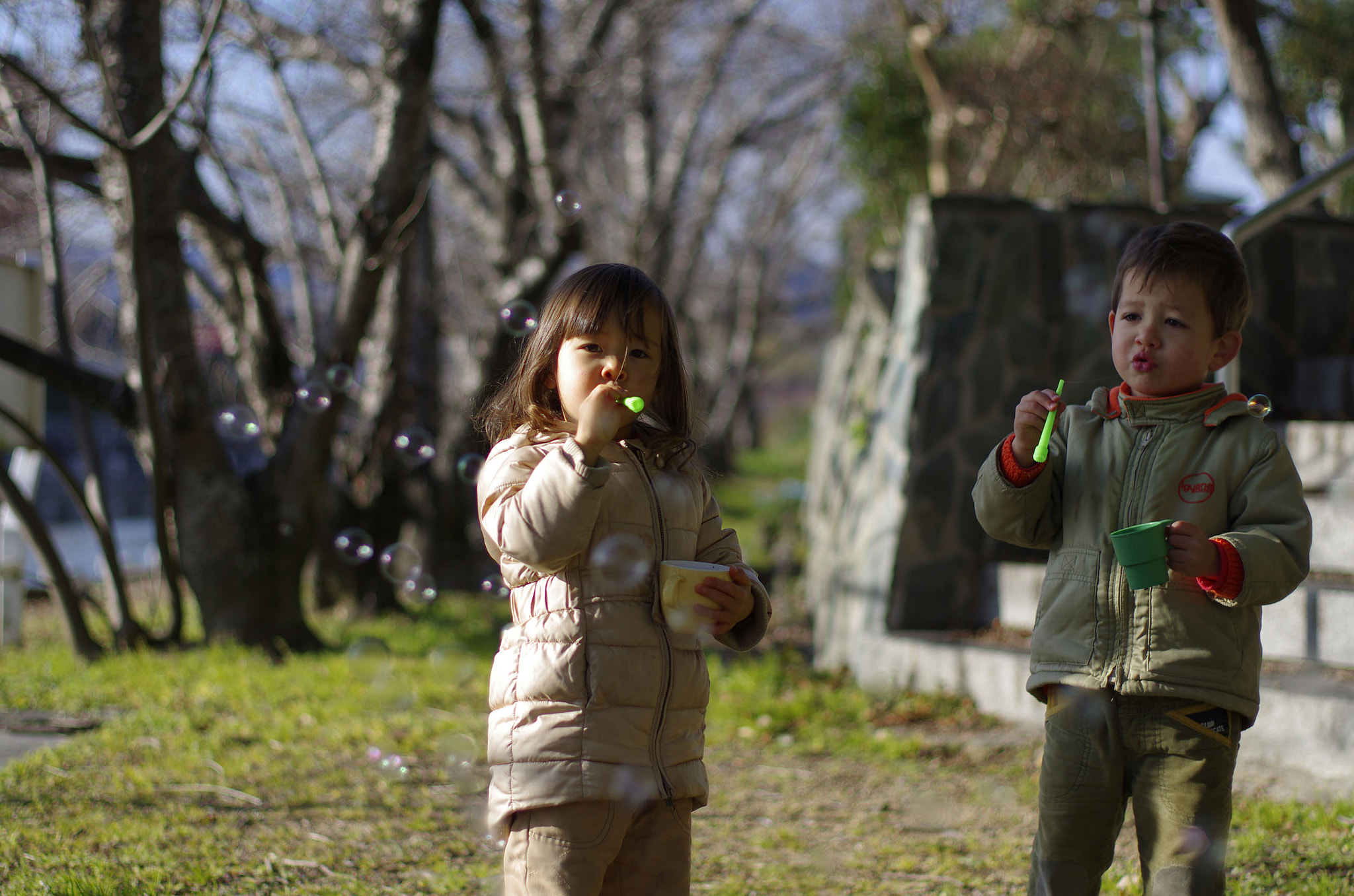 Pentax K-5 + Pentax smc FA 50mm F1.4 sample photo. Igp photography