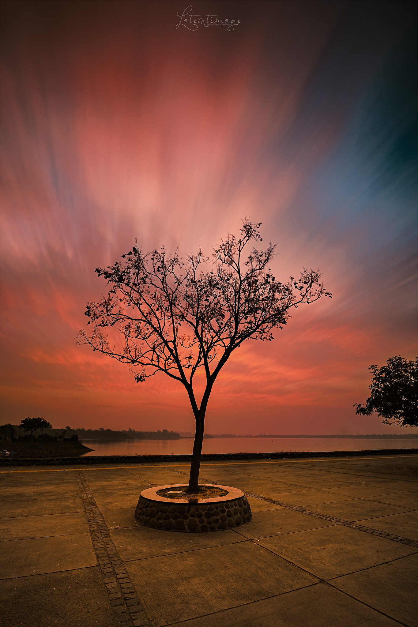 Nikon D800E sample photo. Sunrise tree photography