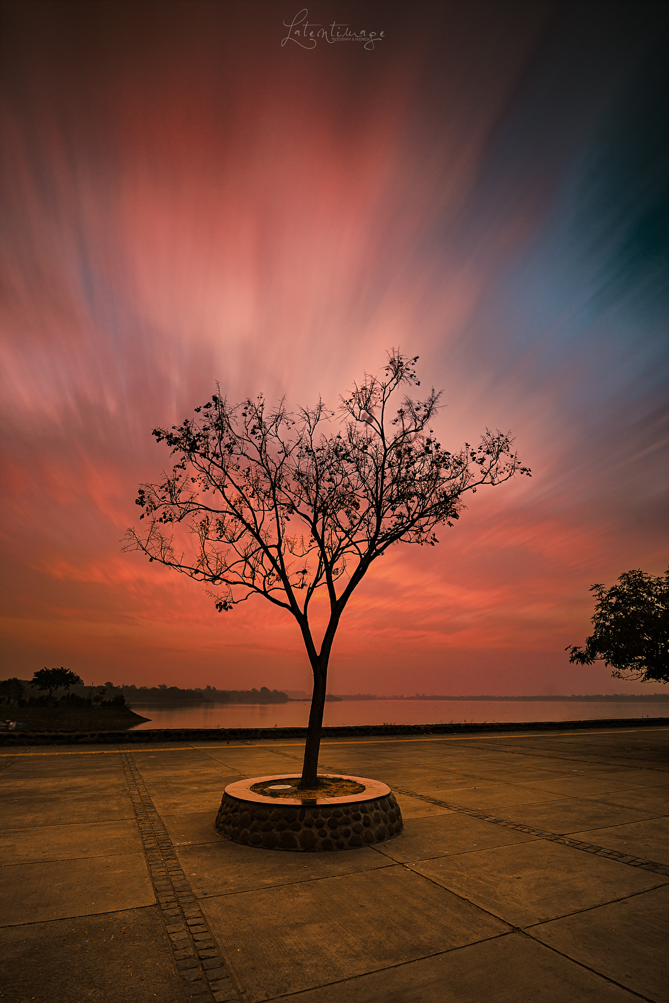 Tamron SP 15-30mm F2.8 Di VC USD sample photo. Sunrise tree photography