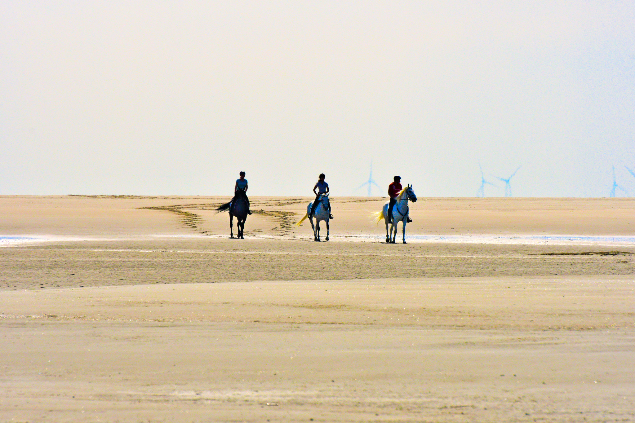 Nikon D500 sample photo. On the beach photography