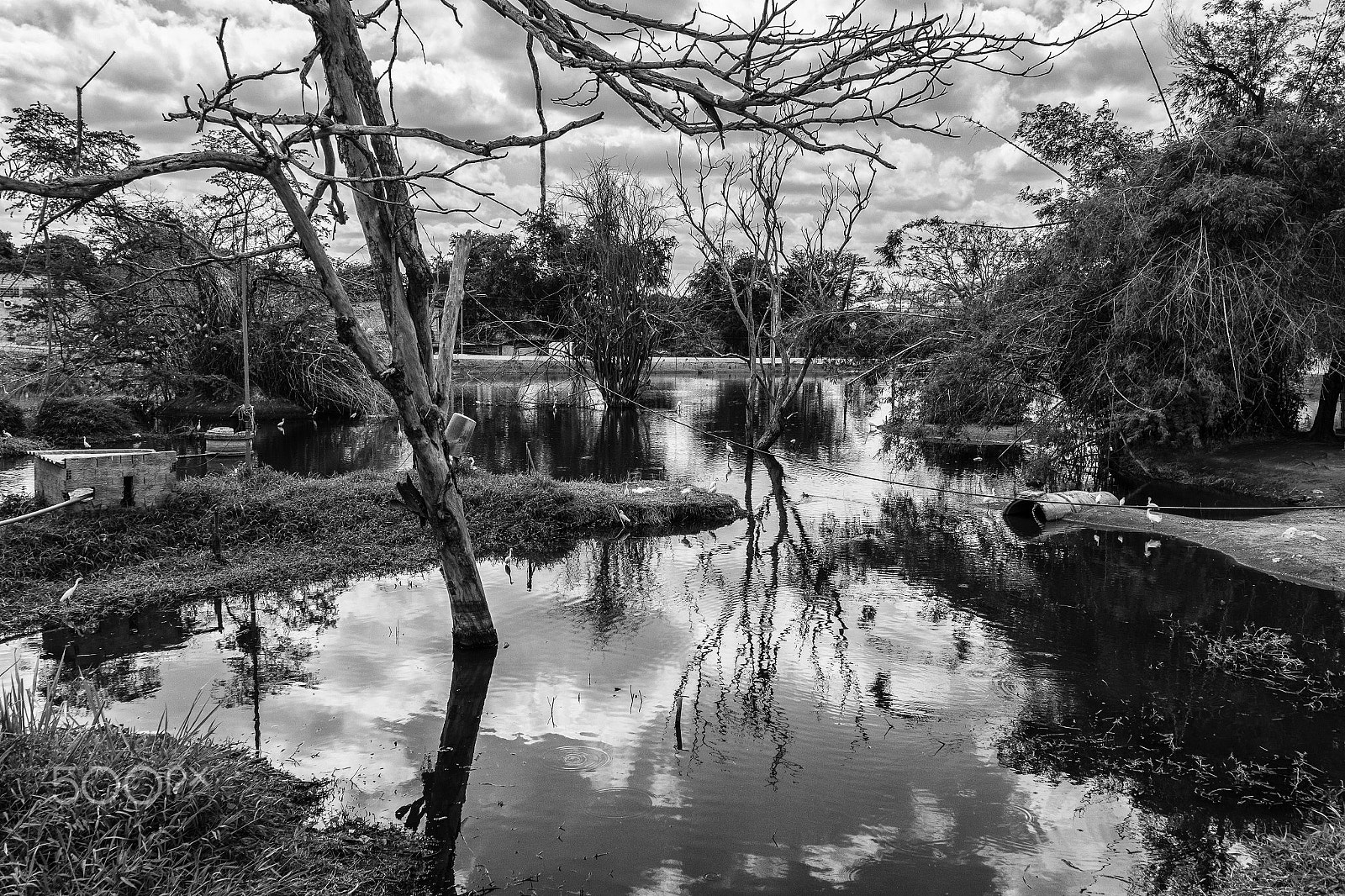 Samsung NX200 + Samsung NX 20-50mm F3.5-5.6 ED sample photo. Campina grande, brazil, 2017 photography