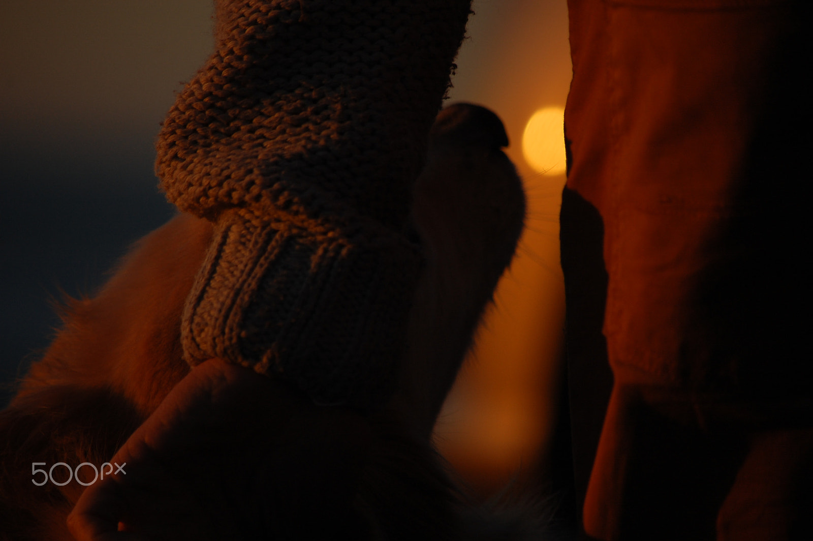 Nikon D40 sample photo. Pupi photography