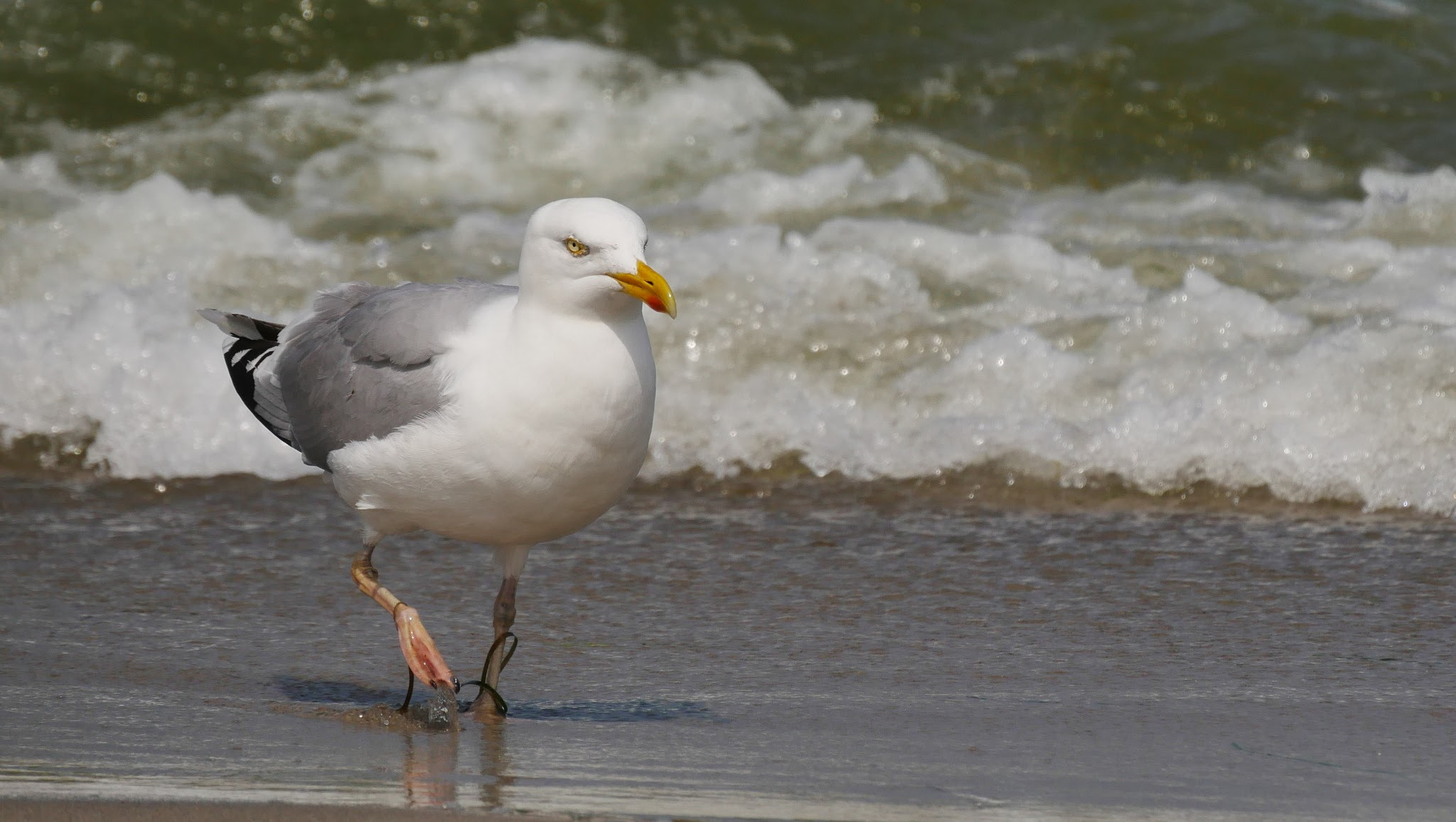 v2?sig=4f8107e4bbab81104022420b075236ea8d4ebc56c4c945b936ca3d6464857189