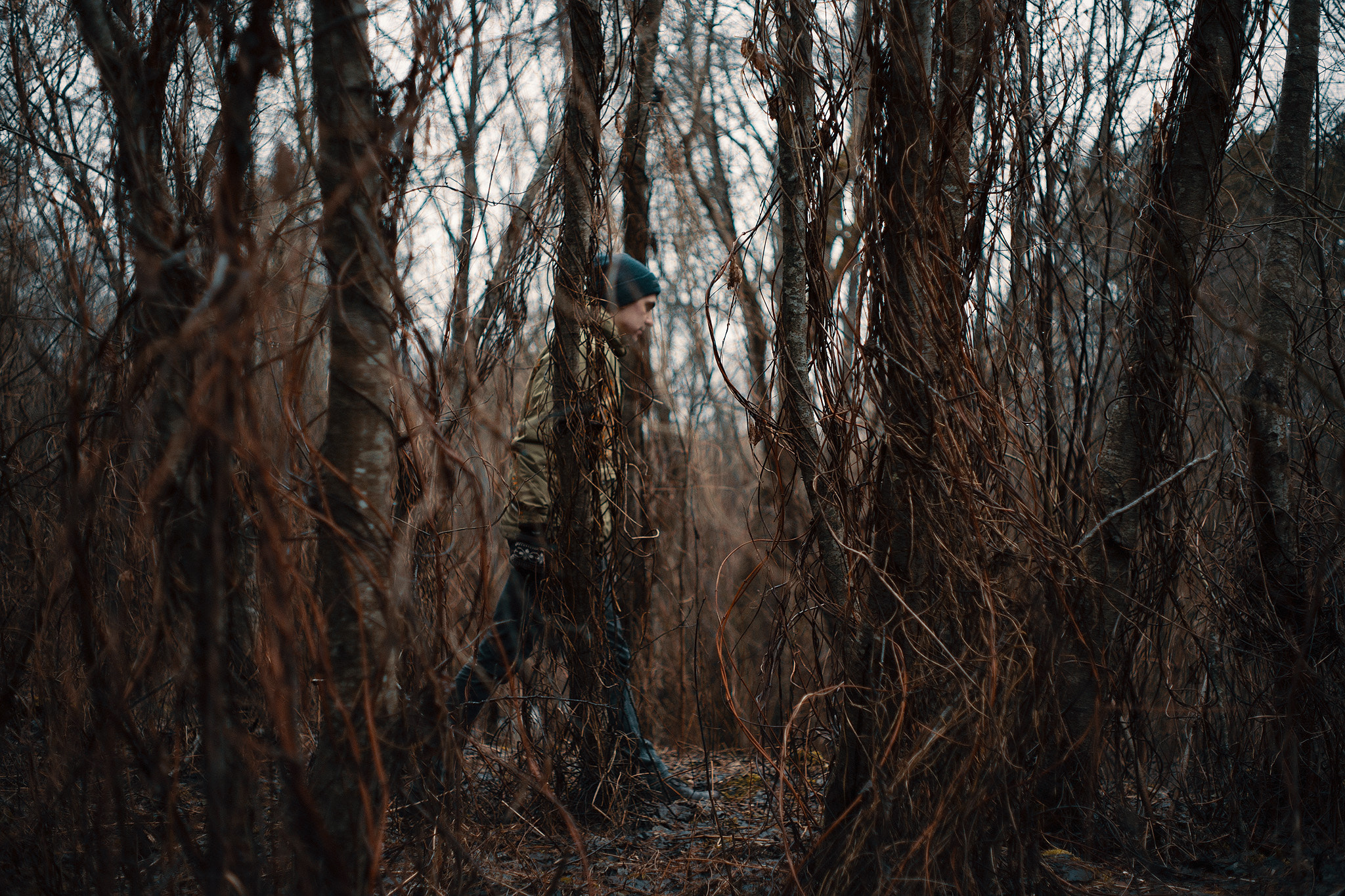 Canon EF 35-80mm f/4-5.6 sample photo. Tangled photography