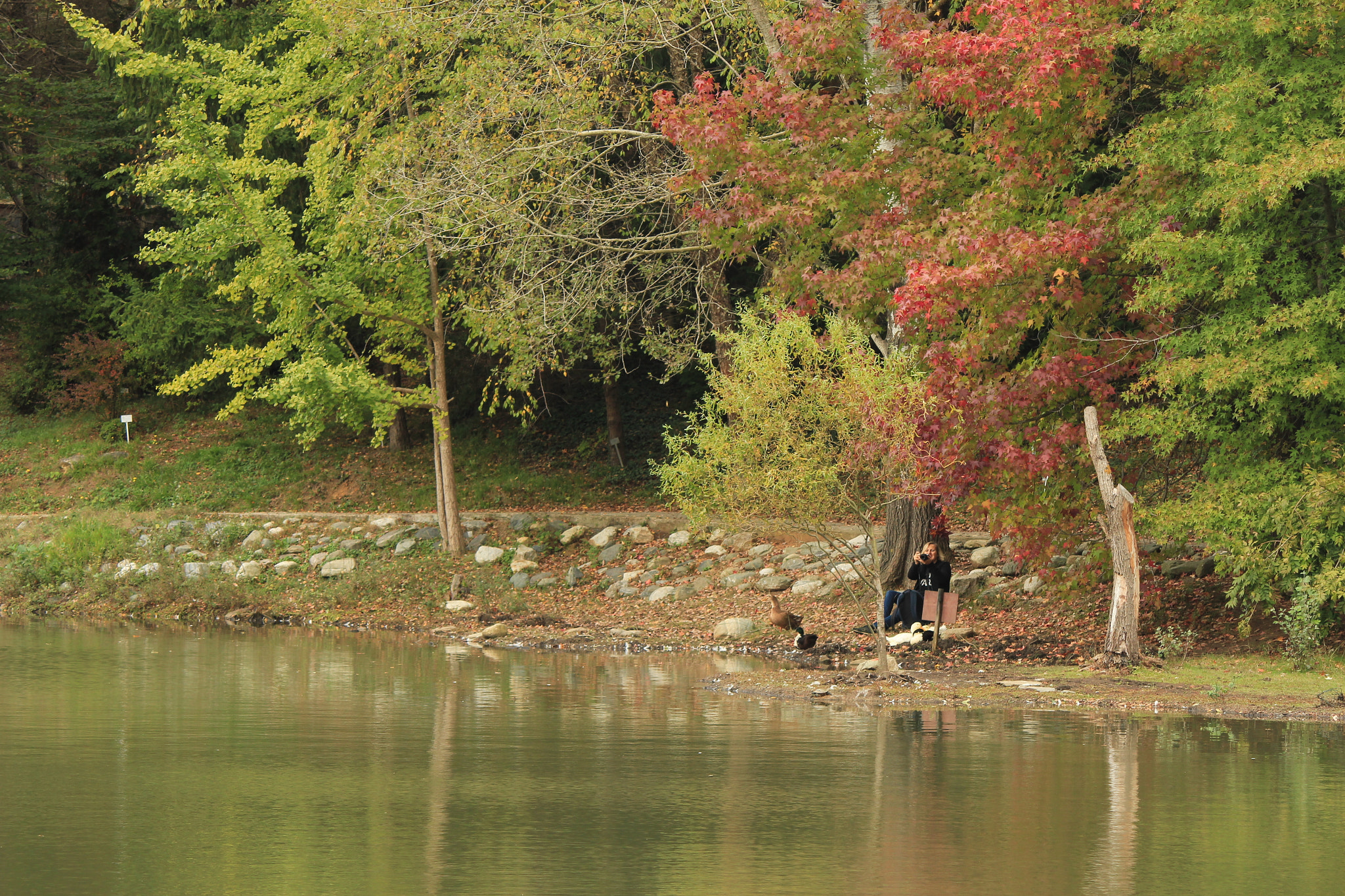Canon EOS 550D (EOS Rebel T2i / EOS Kiss X4) sample photo. Ataturk arboretum in istanbul, turkey photography