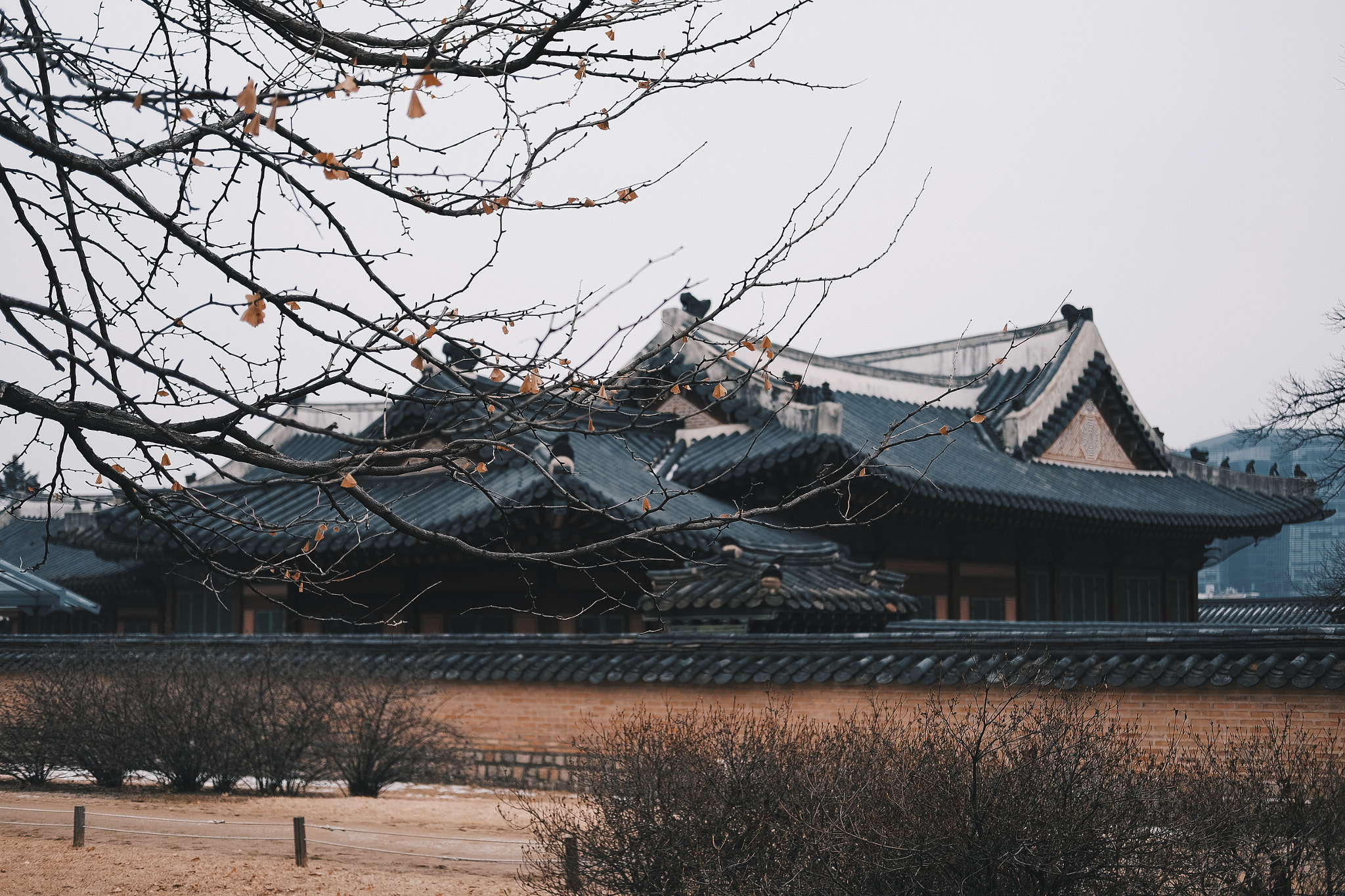 Fujifilm X-T10 + Fujifilm XF 35mm F2 R WR sample photo. Korea photography